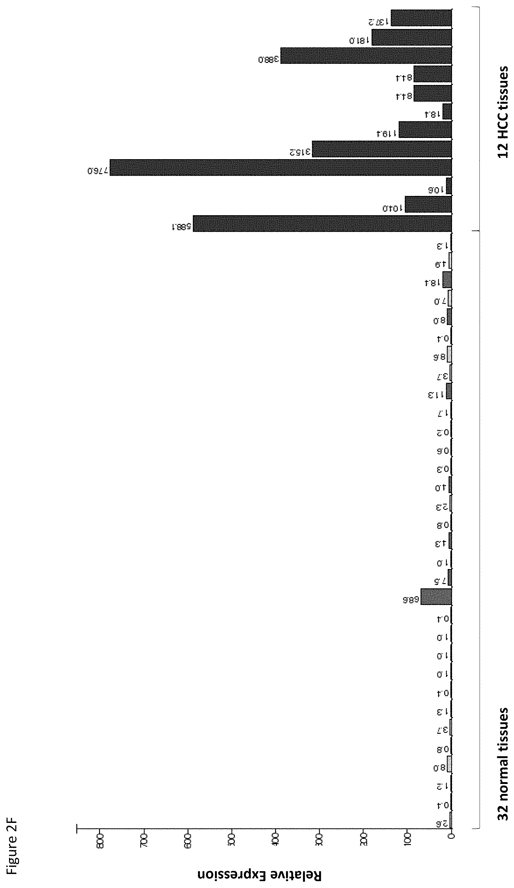 Patent US11779638 Figure 19 – Method of eliciting a CD8+ cytotoxic response in hepatocellular carcinoma patients with a population of activated T cells