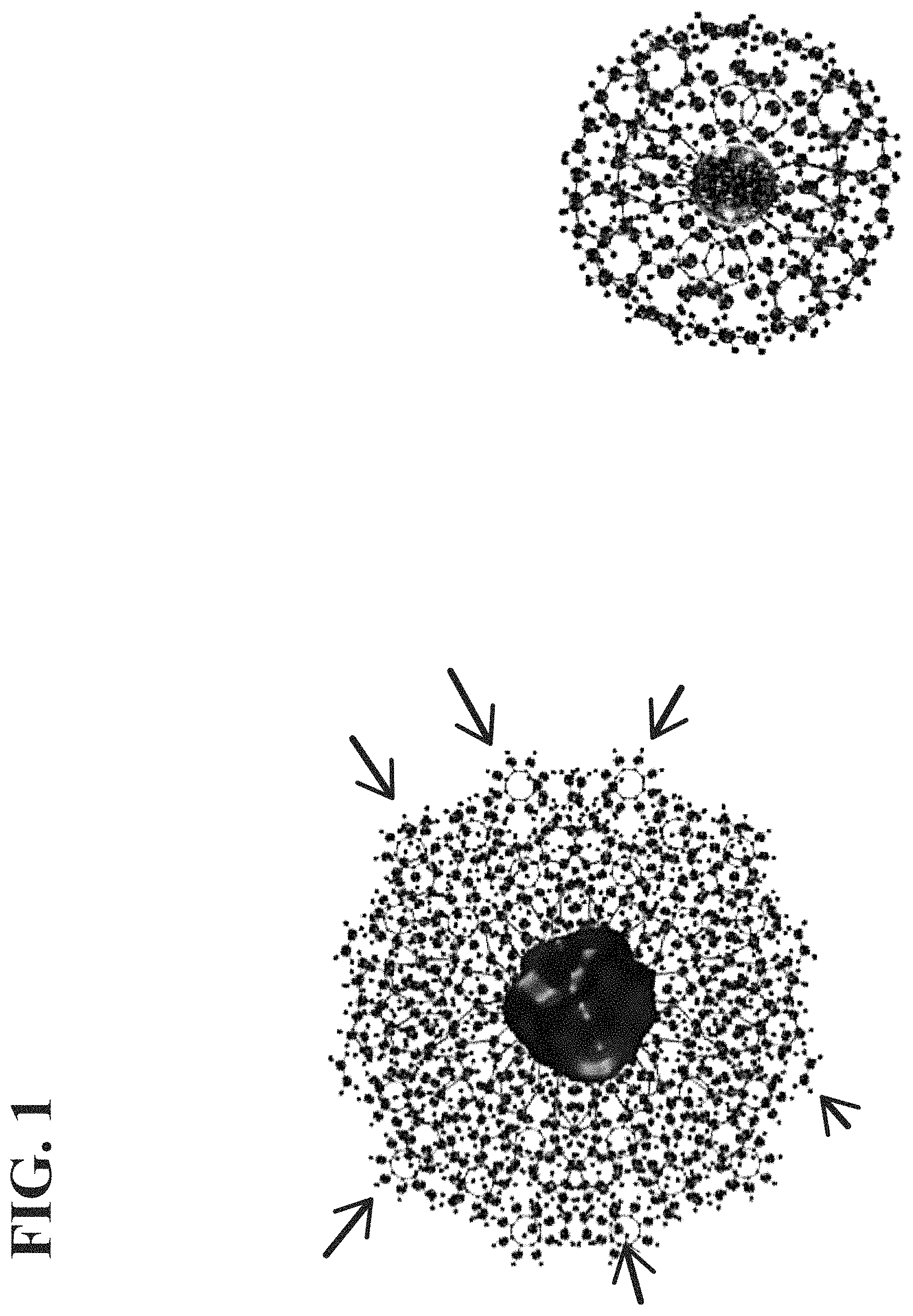Patent US11779645 — Compositions comprising water that exhibits increased cell permeability and methods of use thereof — Figure 1
