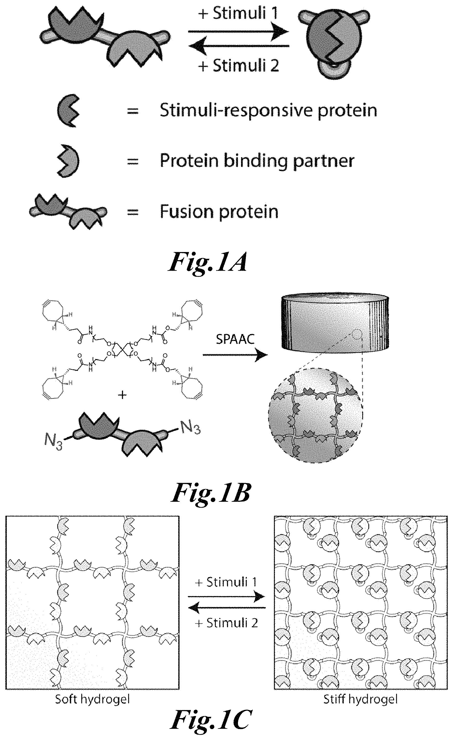 Patent US11779646 — Dynamic user-programmable materials including stimuli-responsive proteins — Figure 1