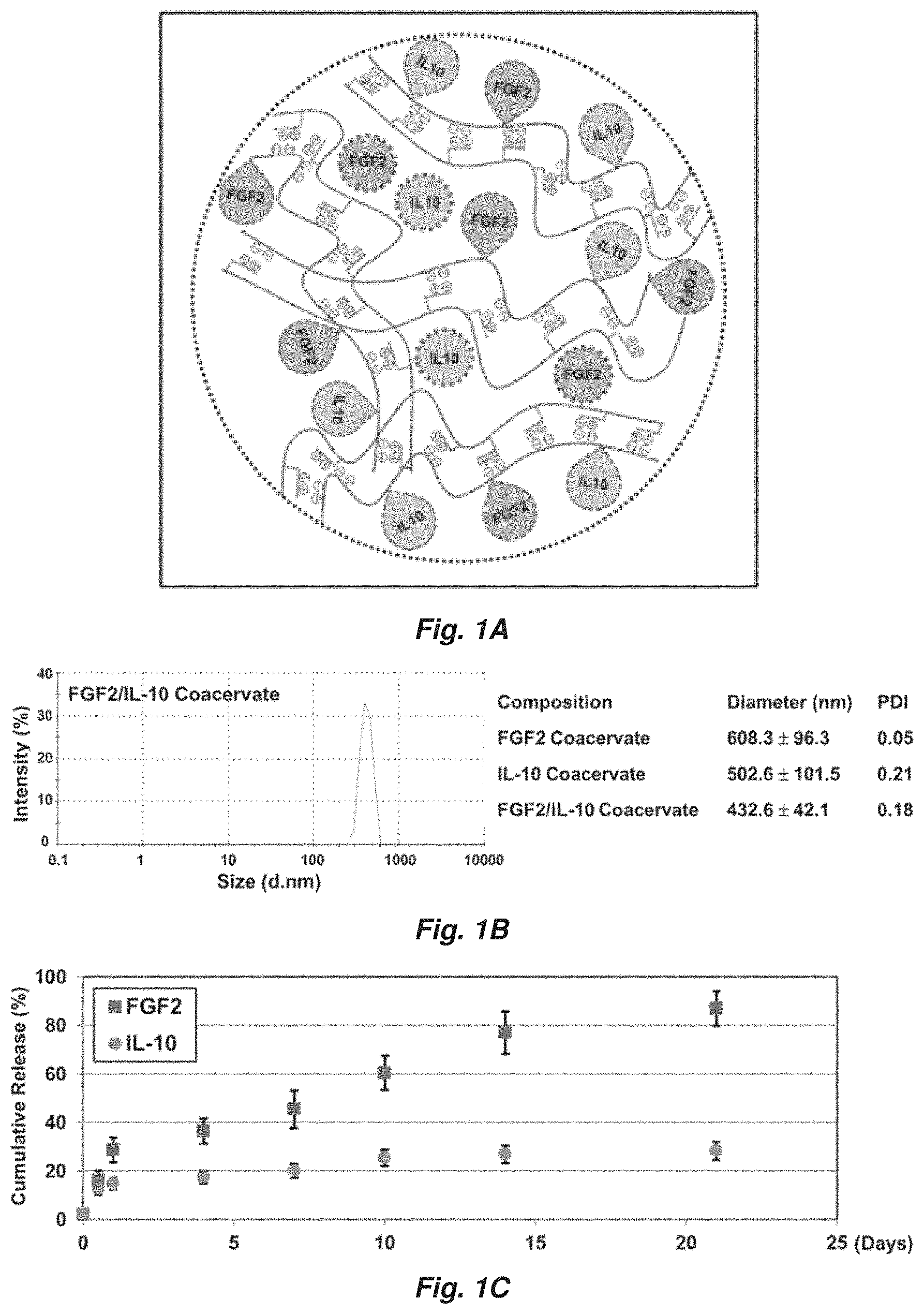 Patent US11779647 — Complex coacervate for controlled release and related methods — Figure 1