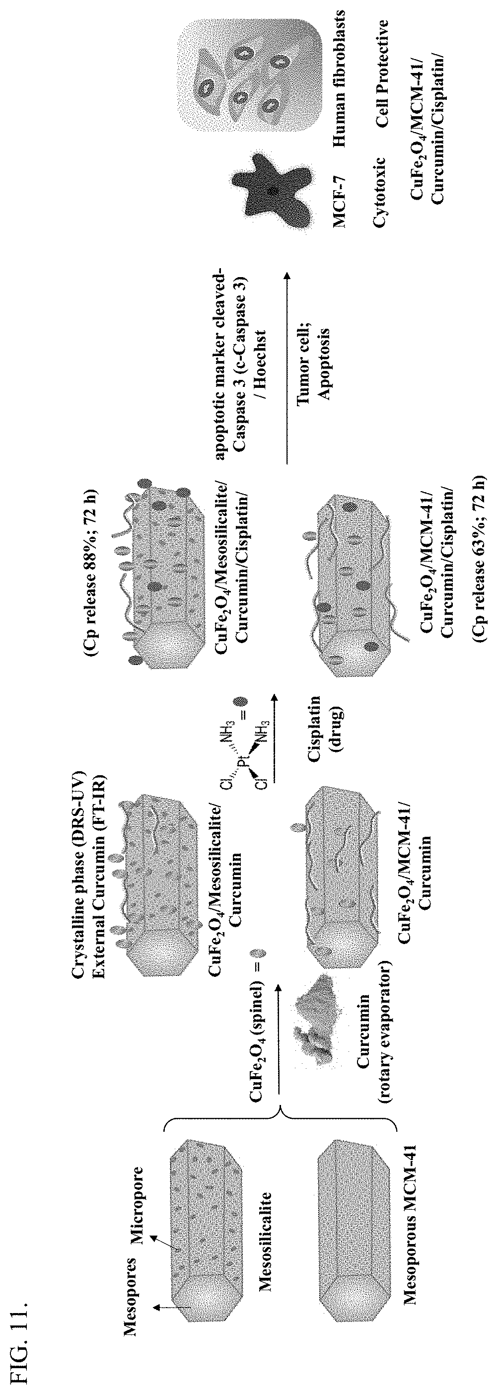 Patent US11779652 Figure 10 – Porous silicate/magnetic ferrite nanocarrier for combination anti-cancer therapeutic and antioxidant delivery
