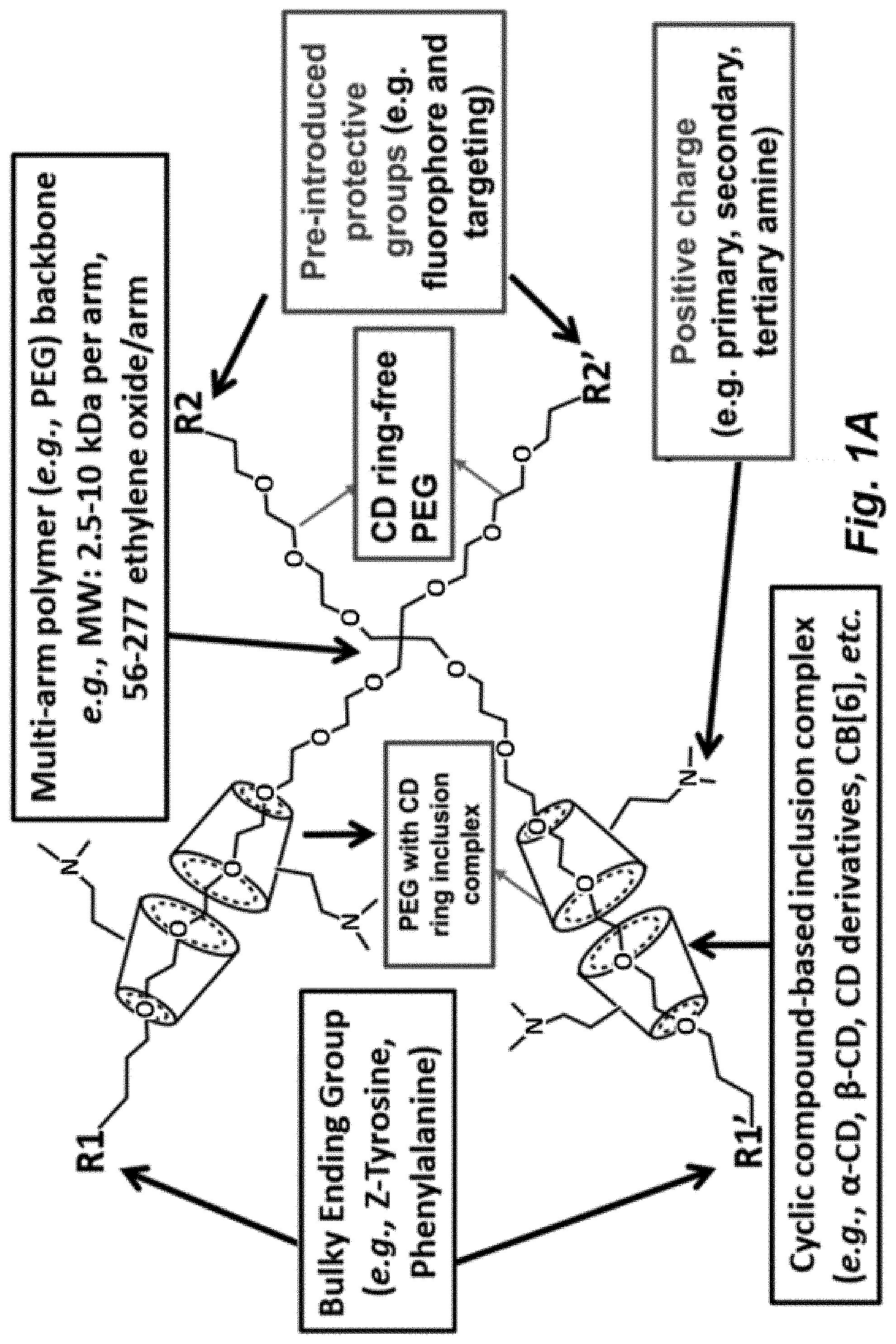 Patent US11779653 — Multi-armed polyrotaxane platform for protected nucleic acid delivery — Figure 1