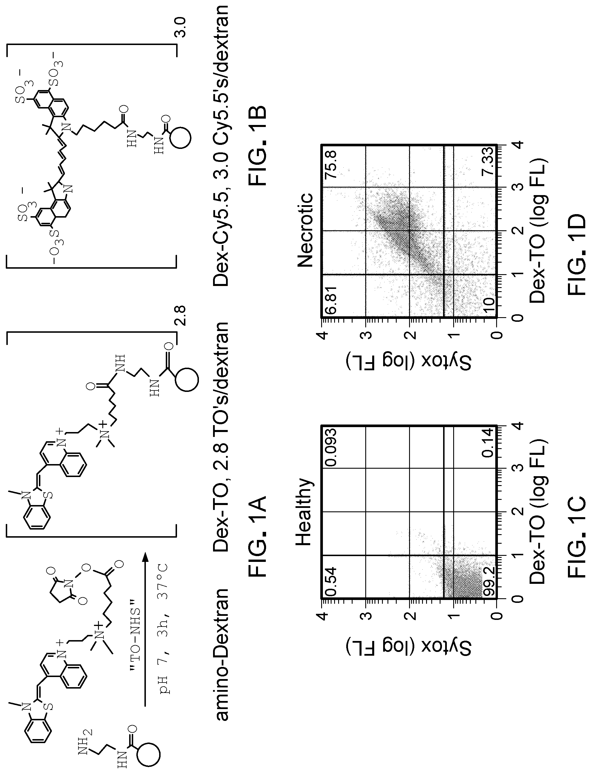 Patent US11779661 — Theranostic nucleic acid binding fluorescent nanoprobes and uses thereof — Figure 1