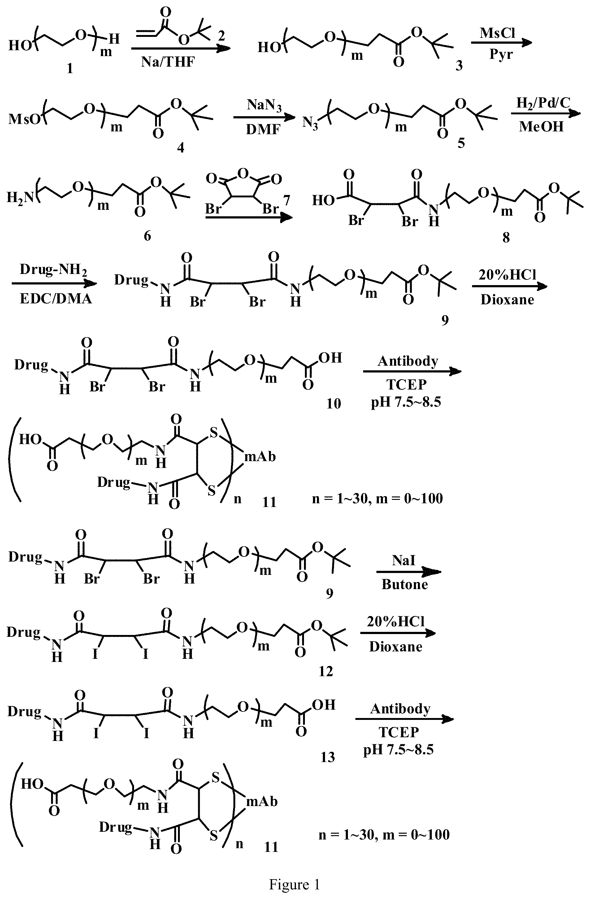 Patent US11779663 Figure 1 – Specific conjugation linkers, specific immunoconjugates thereof, methods of making and uses such conjugates thereof