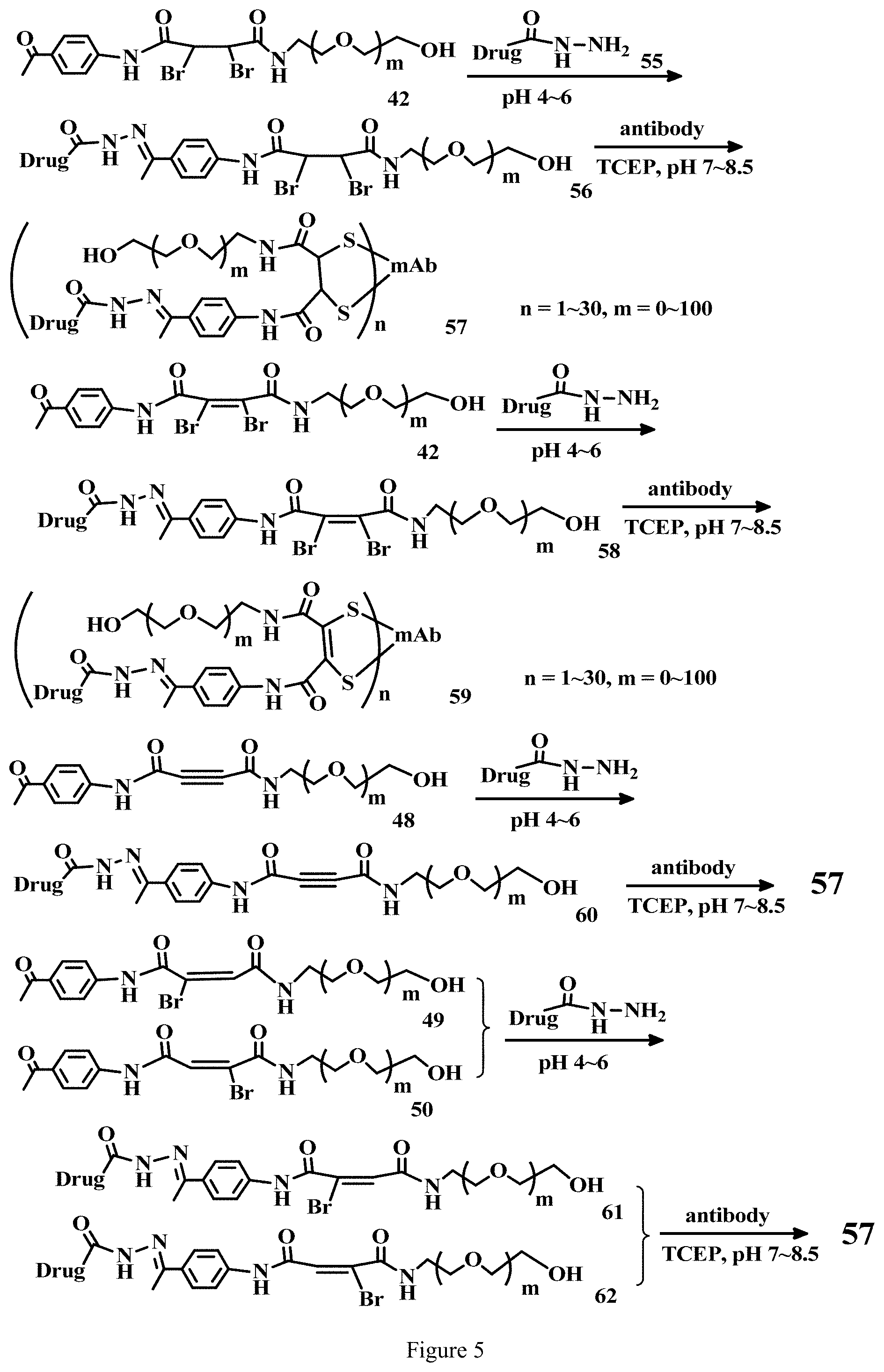 Patent US11779663 Figure 5 – Specific conjugation linkers, specific immunoconjugates thereof, methods of making and uses such conjugates thereof