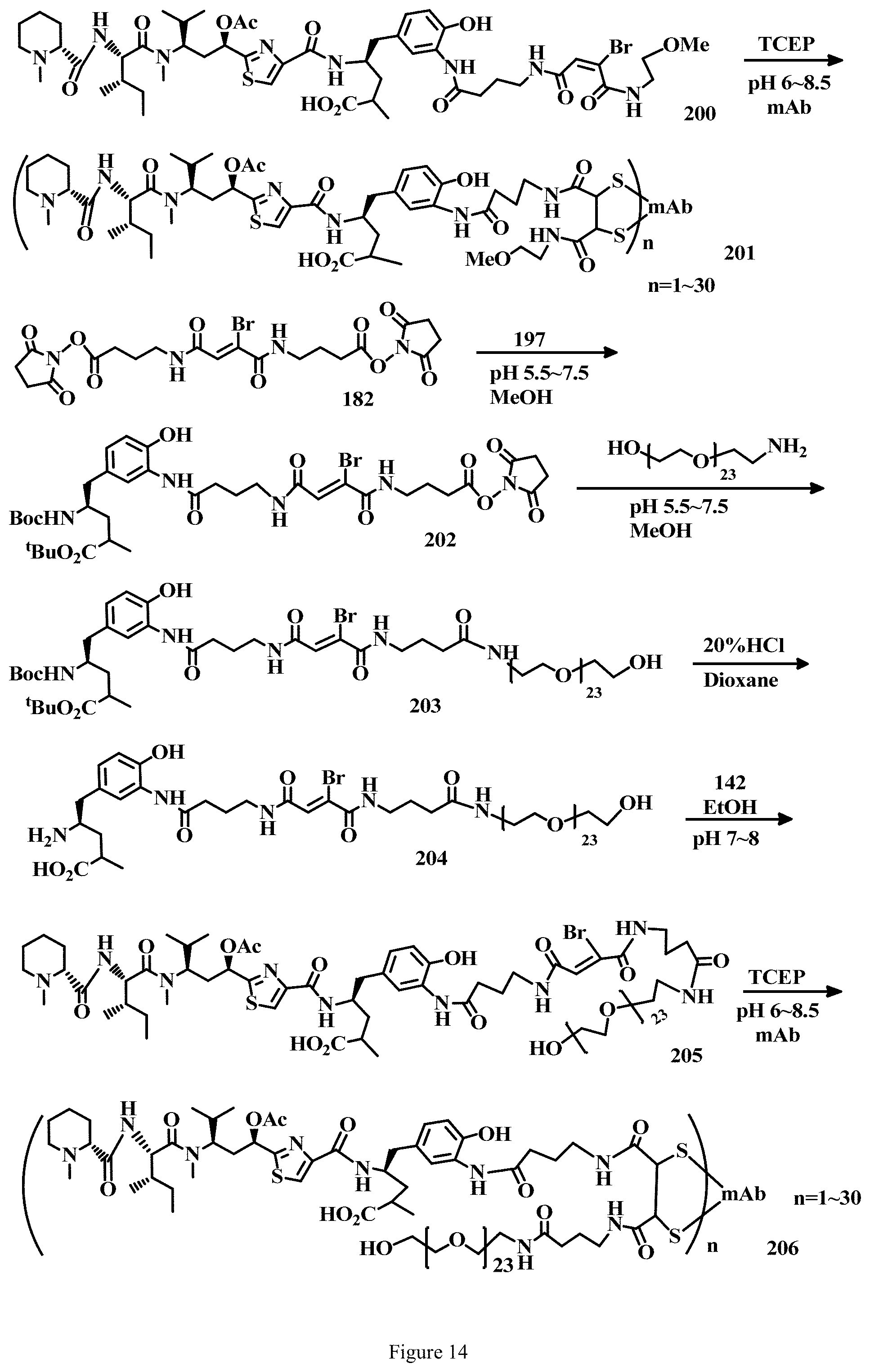 Patent US11779663 Figure 14 – Specific conjugation linkers, specific immunoconjugates thereof, methods of making and uses such conjugates thereof