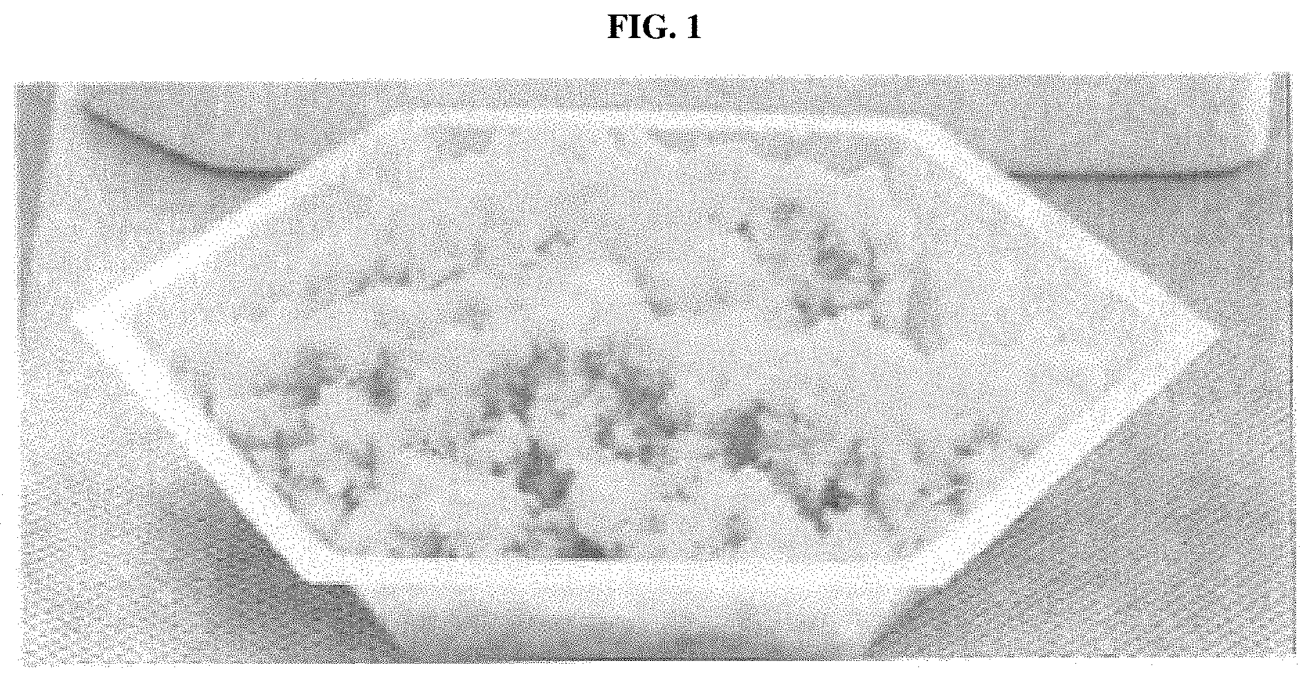 Patent US11779680 — Connective-tissue-based or dermal-tissue-based grafts/implants — Figure 1