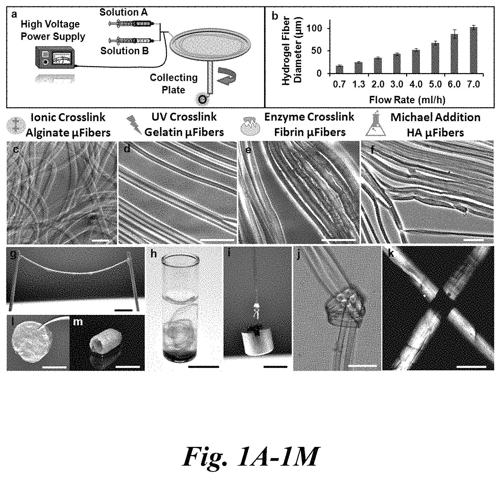 Patent US11779682 Figure 1 – Electro-mechanically stretched micro fibers and methods of use thereof
