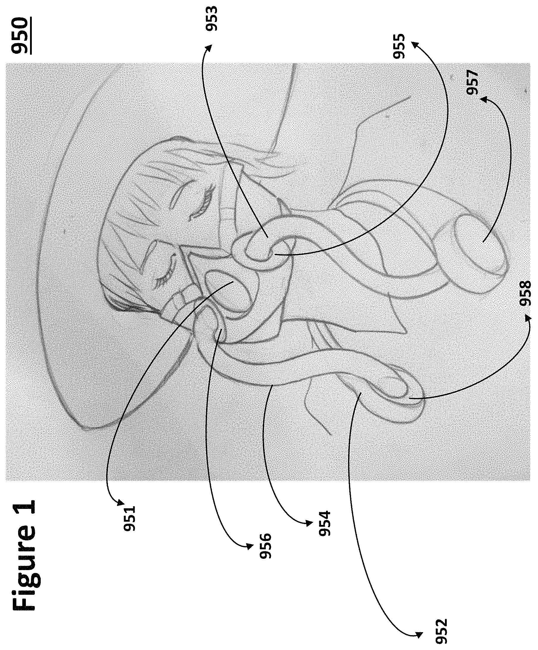 Patent US11779781 — Face mask with a neck hanger — Figure 1