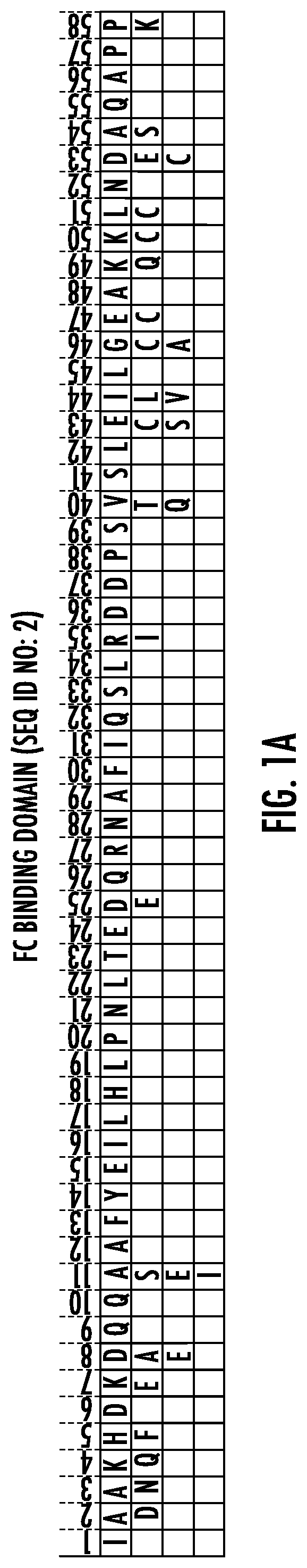 Patent US11779860 Figure 1 – Fc binding proteins with cysteine in the C-terminal helical region