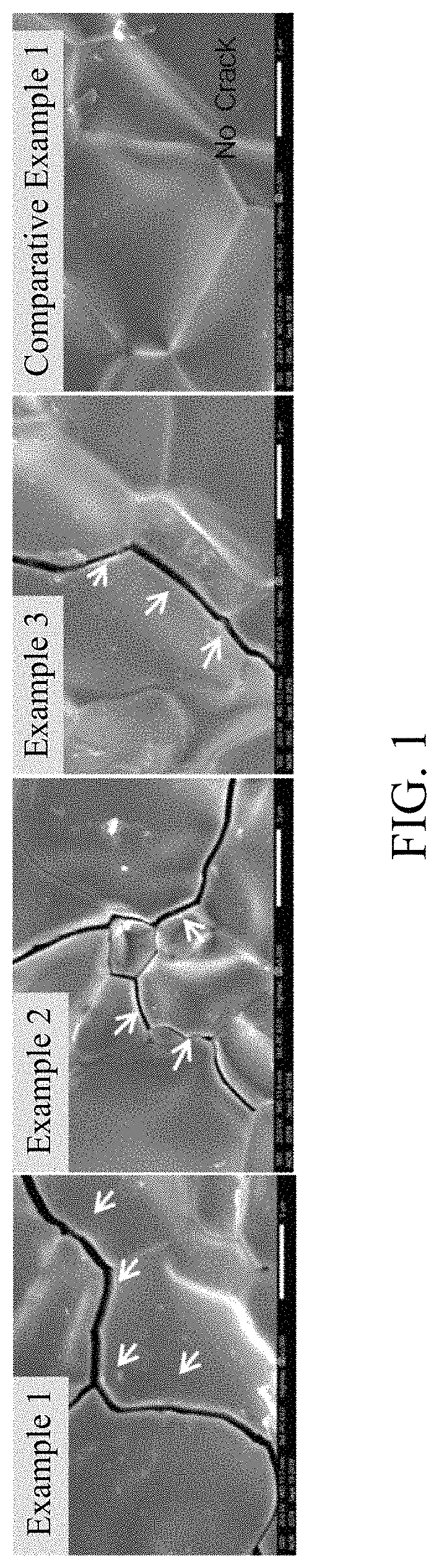 Patent US11780732 — Carbonated tantalum coating material — Figure 1