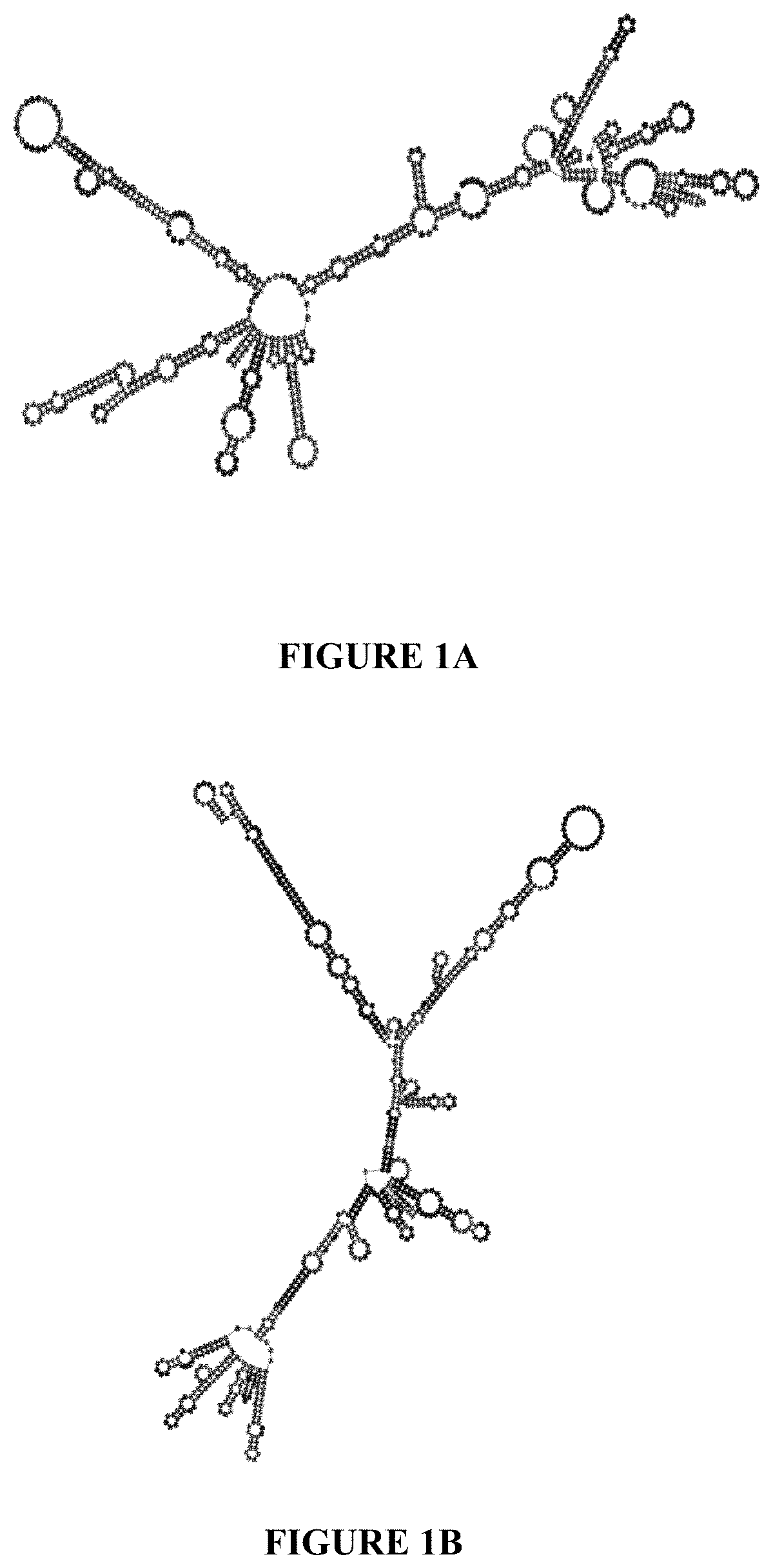 Patent US11780869 — Deuterium-stabilised ribonucleic acid (RNA) molecules displaying increased resistance to thermal and enzymatic hydrolysis, aqueous compositions comprising stabilised RNA molecules and methods for making same — Figure 1