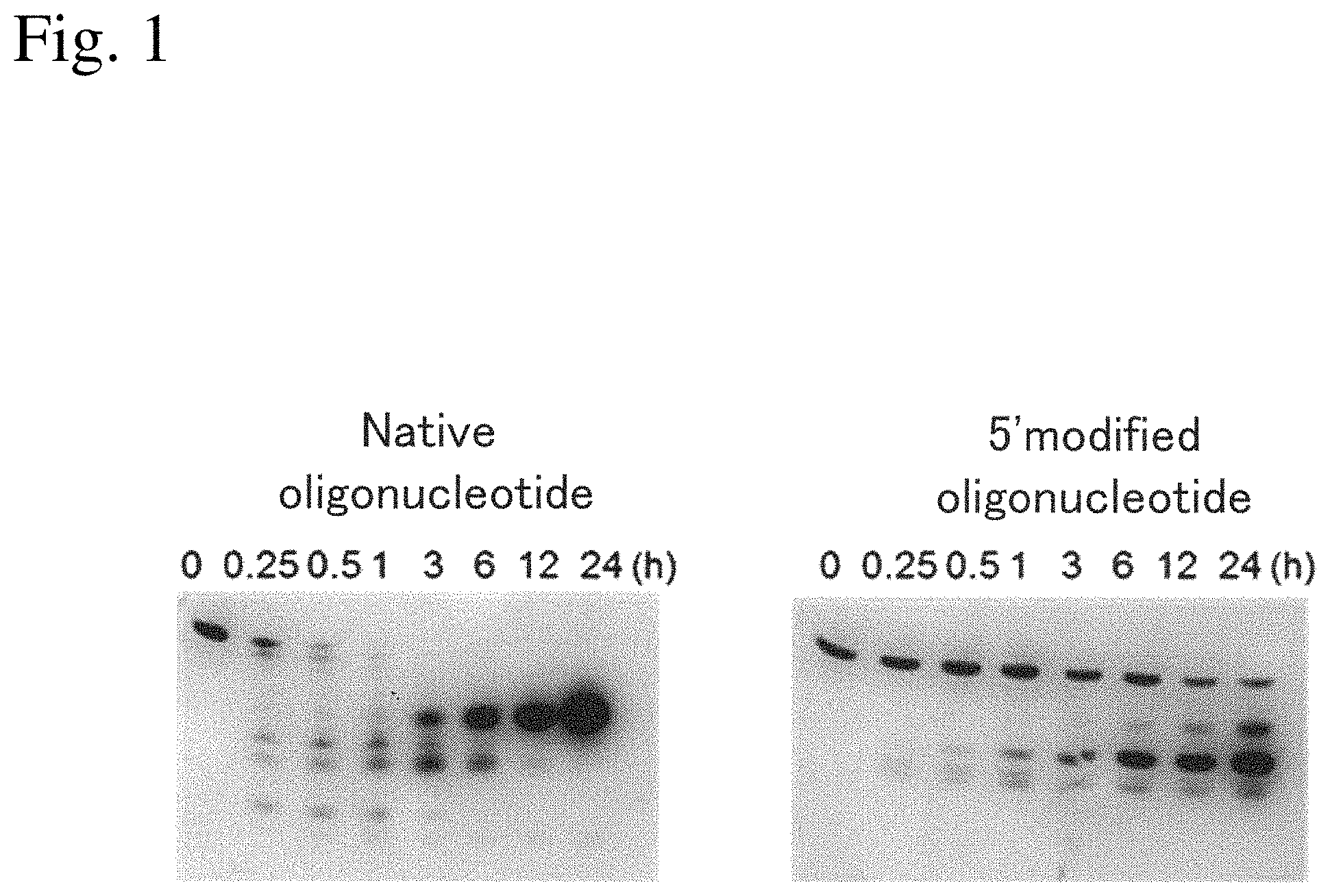 Patent US11780874 — Nucleoside derivative and use thereof — Figure 1