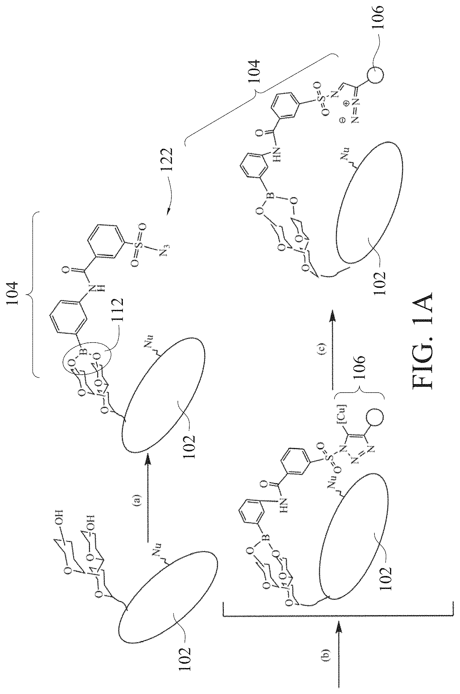 Patent US11780877 — Method of sugar-guided modifying glycosylated polypeptide and application of the same — Figure 1