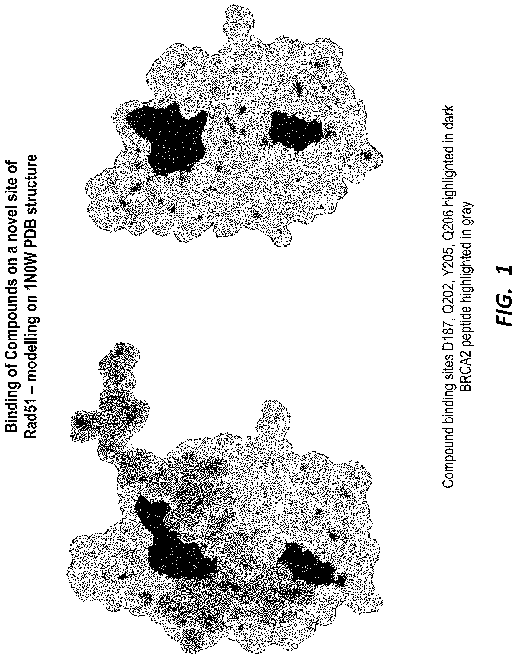 Patent US11780881 — Compounds for selective disruption of protein-protein interactions — Figure 1