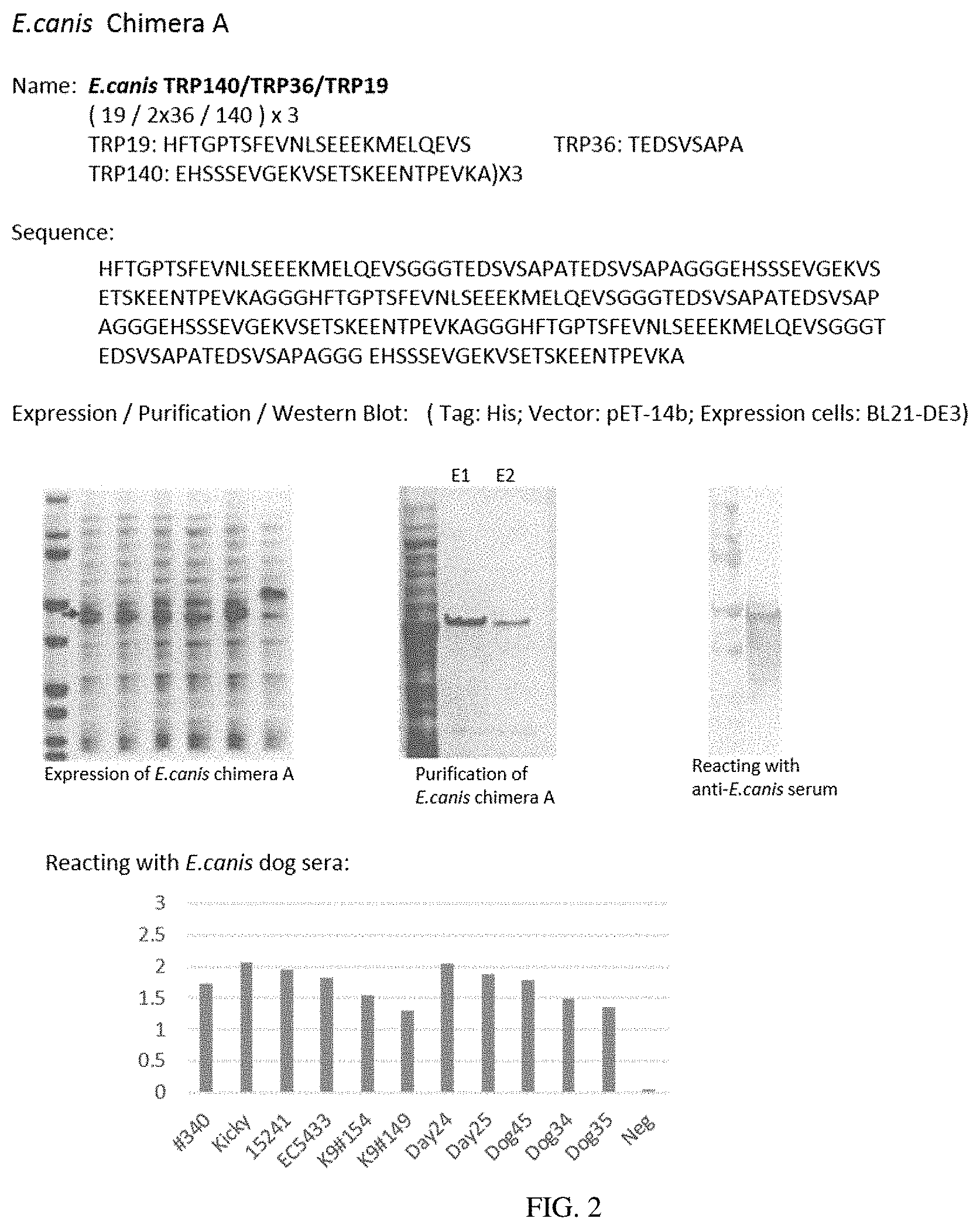 Patent US11780892 Figure 2 – Chimeric immunogenic polypeptides