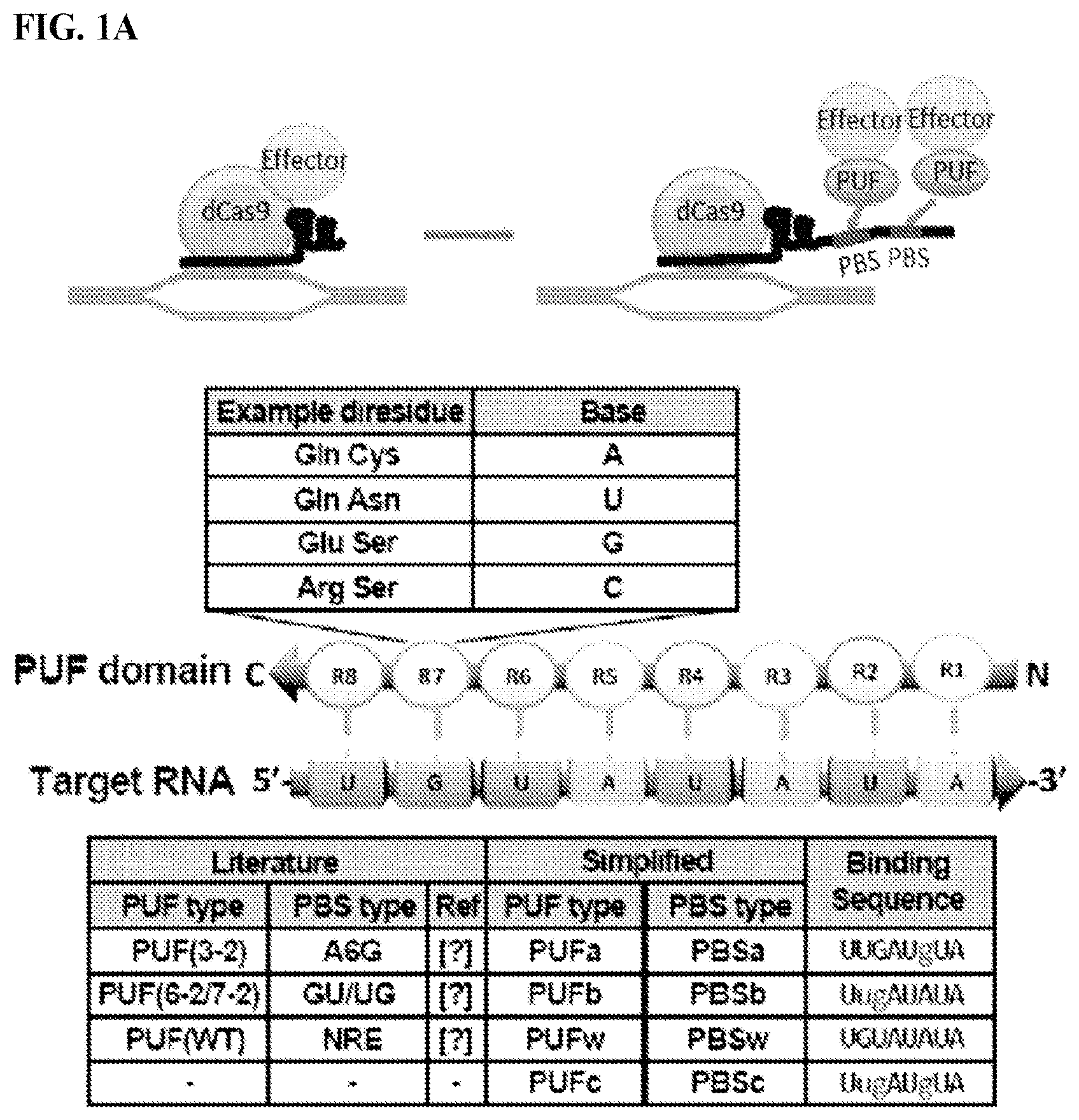 Patent US11780895 — Targeted DNA demethylation and methylation — Figure 1