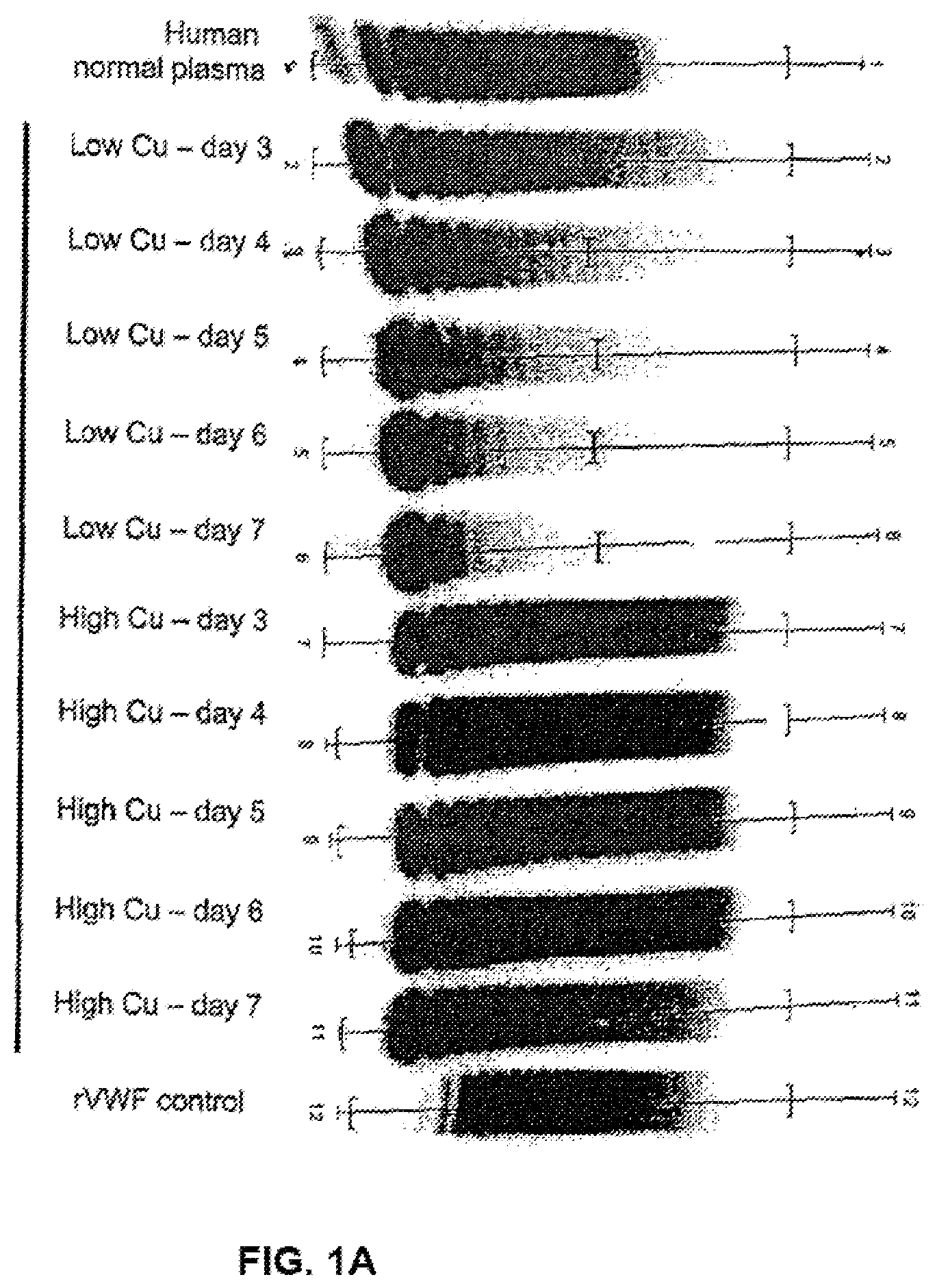 Patent US11780904 Figure 1 – Method of producing recombinant high molecular weight vWF in cell culture