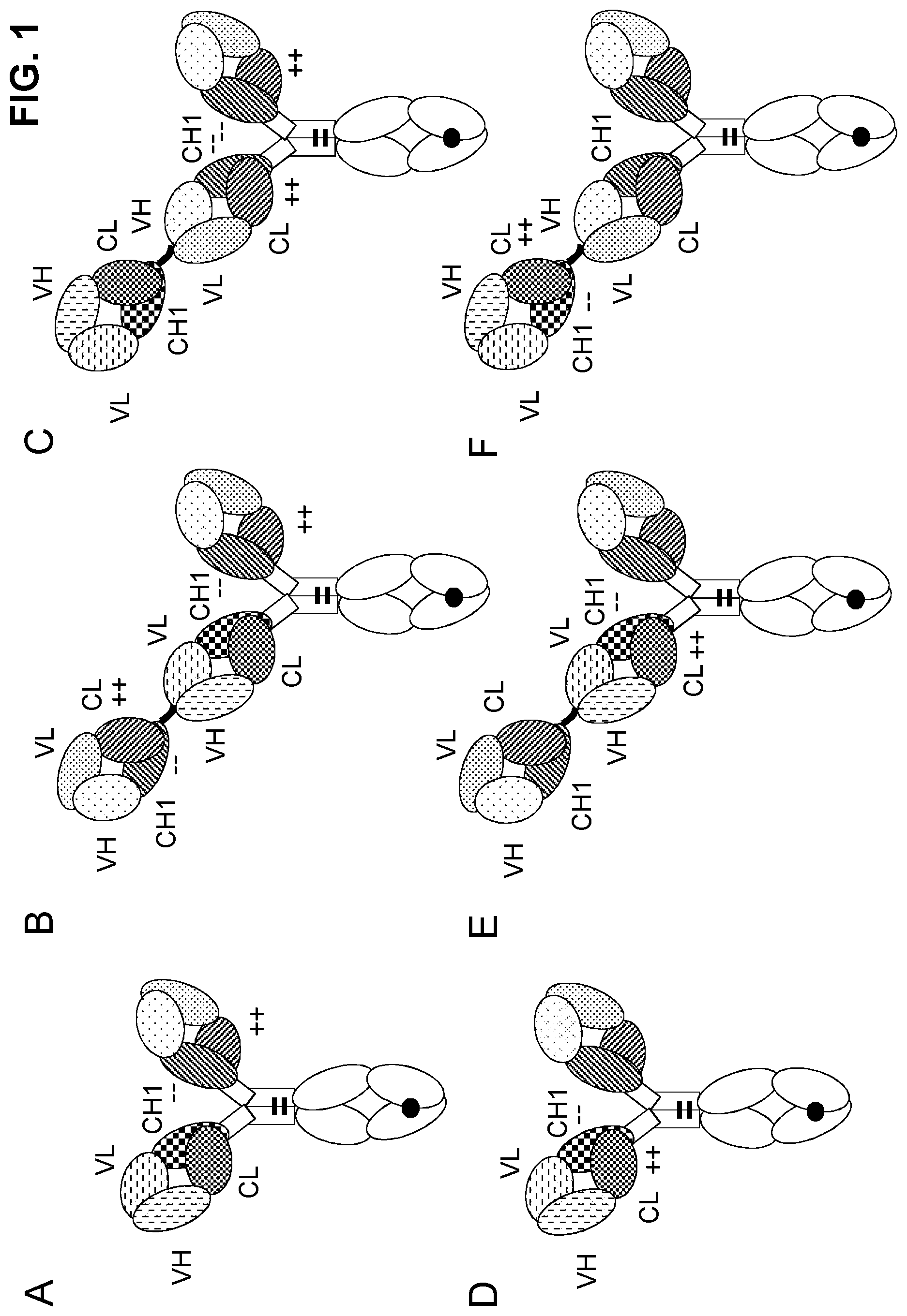 Patent US11780920 — Antibodies binding to CD3 and CD19 — Figure 1