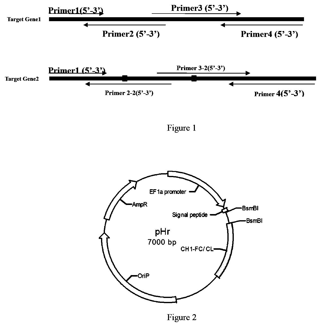 Patent US11780923 — PD-L1 antibody, antigen-binding fragment thereof and medical application thereof — Figure 1