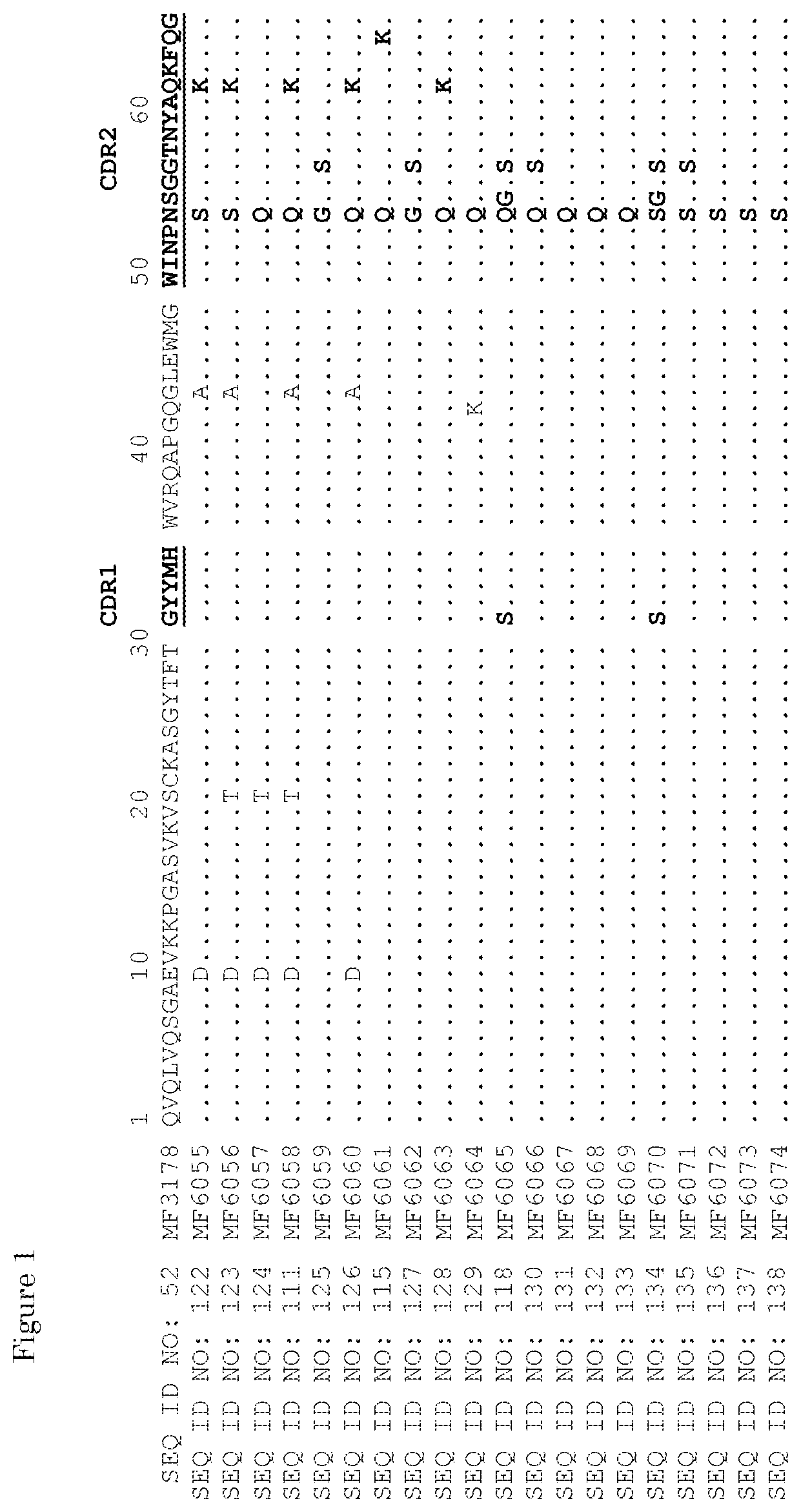 Patent US11780925 Figure 1 – ErbB-2 and ErbB3 binding bispecific antibodies for use in the treatment of cells that have an NRG1 fusion gene