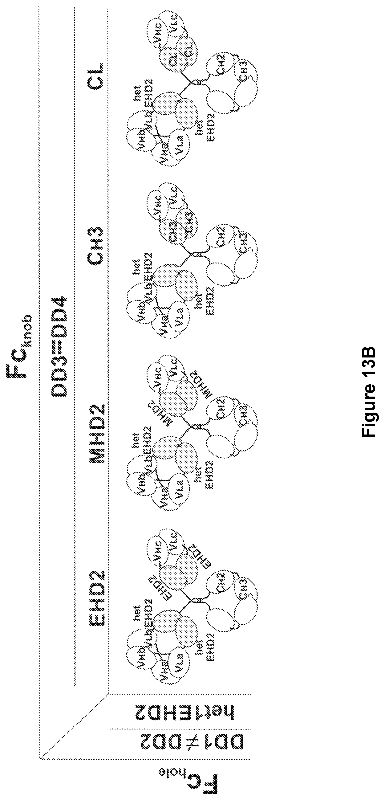 Patent US11780926 Figure 19 – Multivalent binding molecules