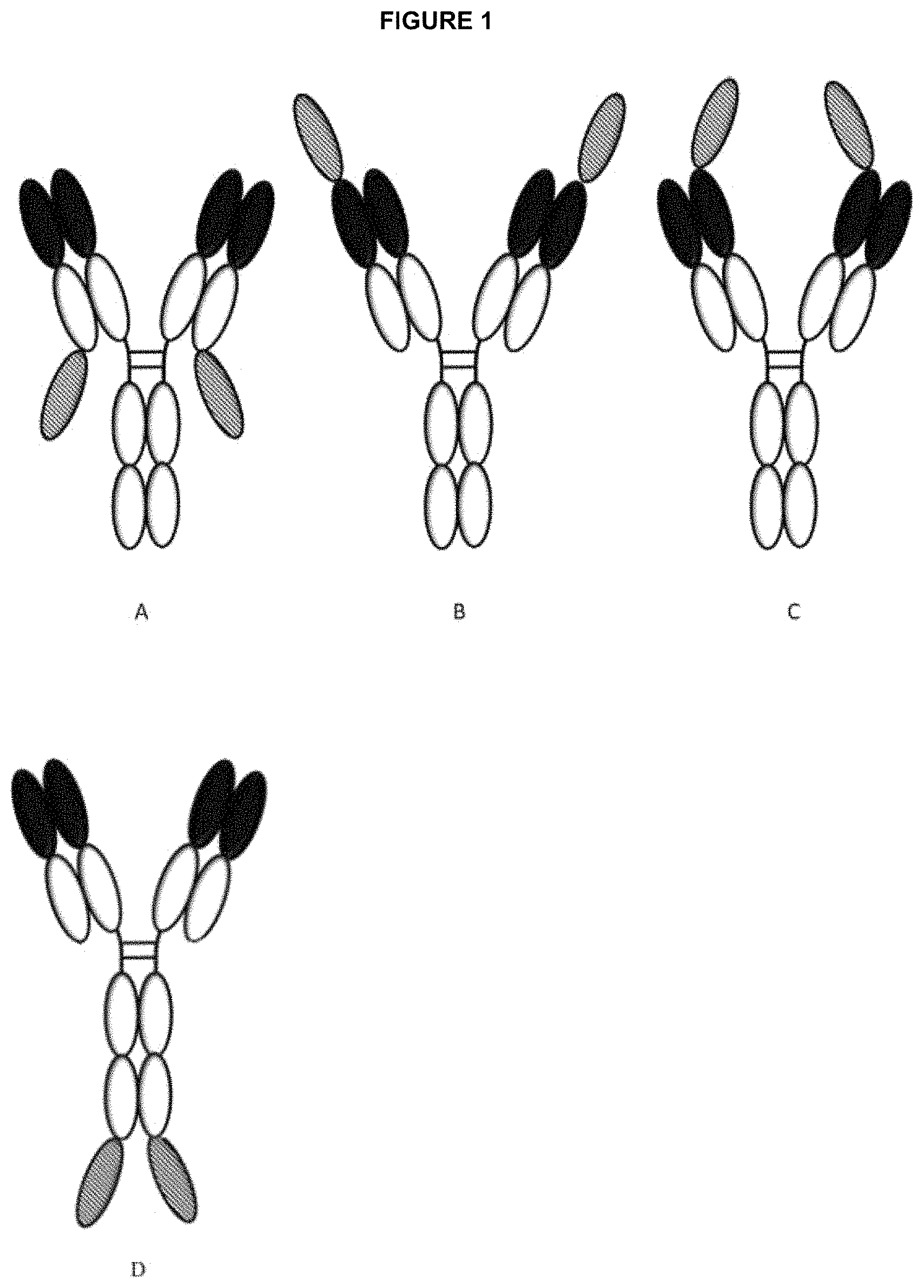 Patent US11780928 Figure 1 – Polypeptides