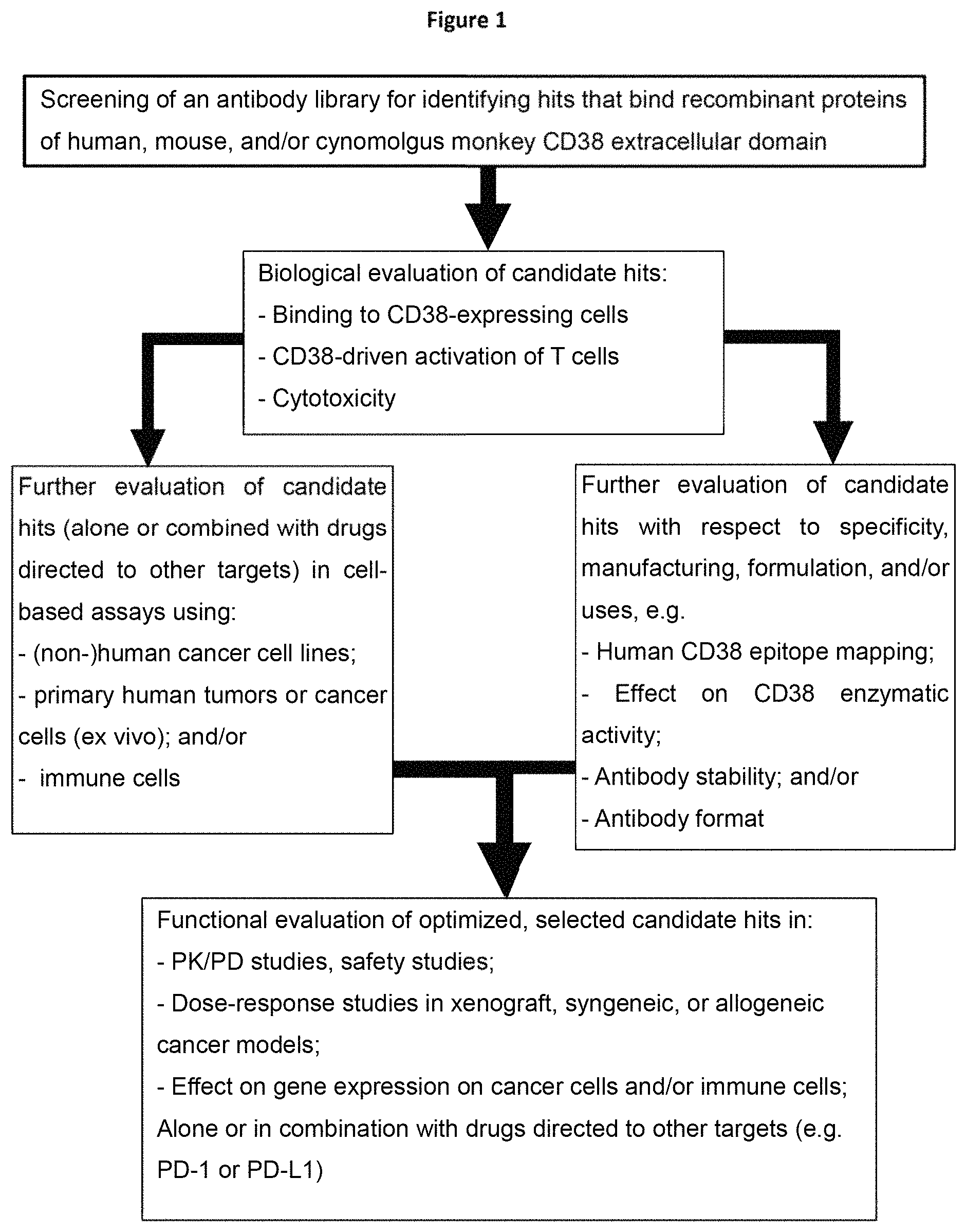 Patent US11780930 — CD38 modulating antibody — Figure 1