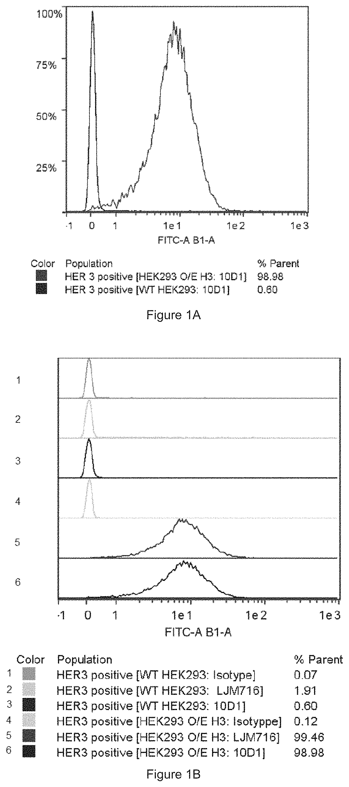 Patent US11780933 Figure 1 – HER3 antigen-binding molecules