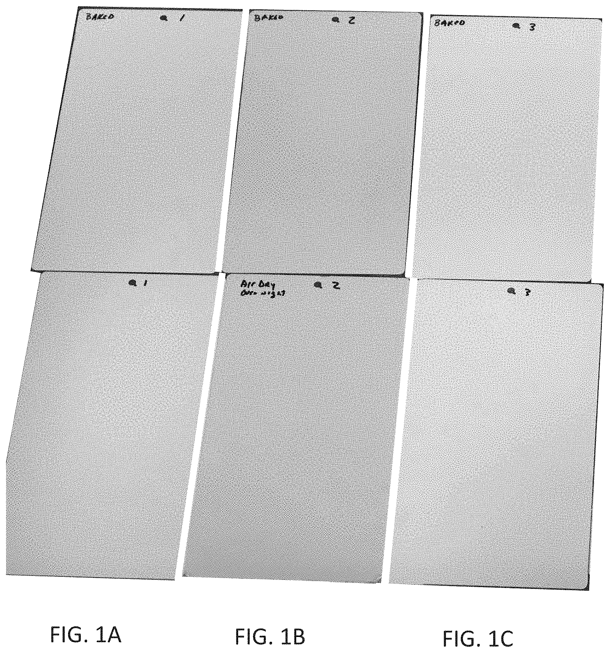Patent US11781023 — Primer with internal guide coat — Figure 1