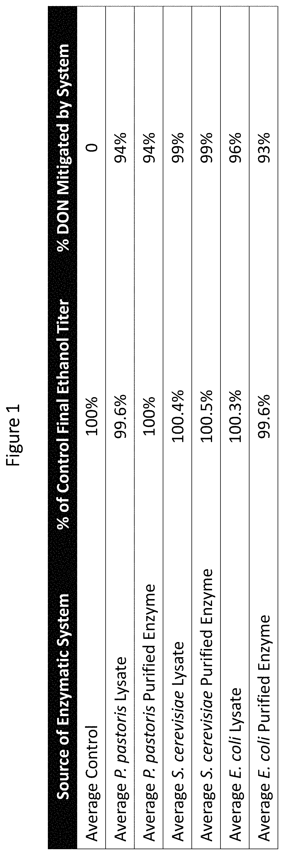 Patent US11781096 — Enzymatic degradation of mycotoxins during grain processing — Figure 1