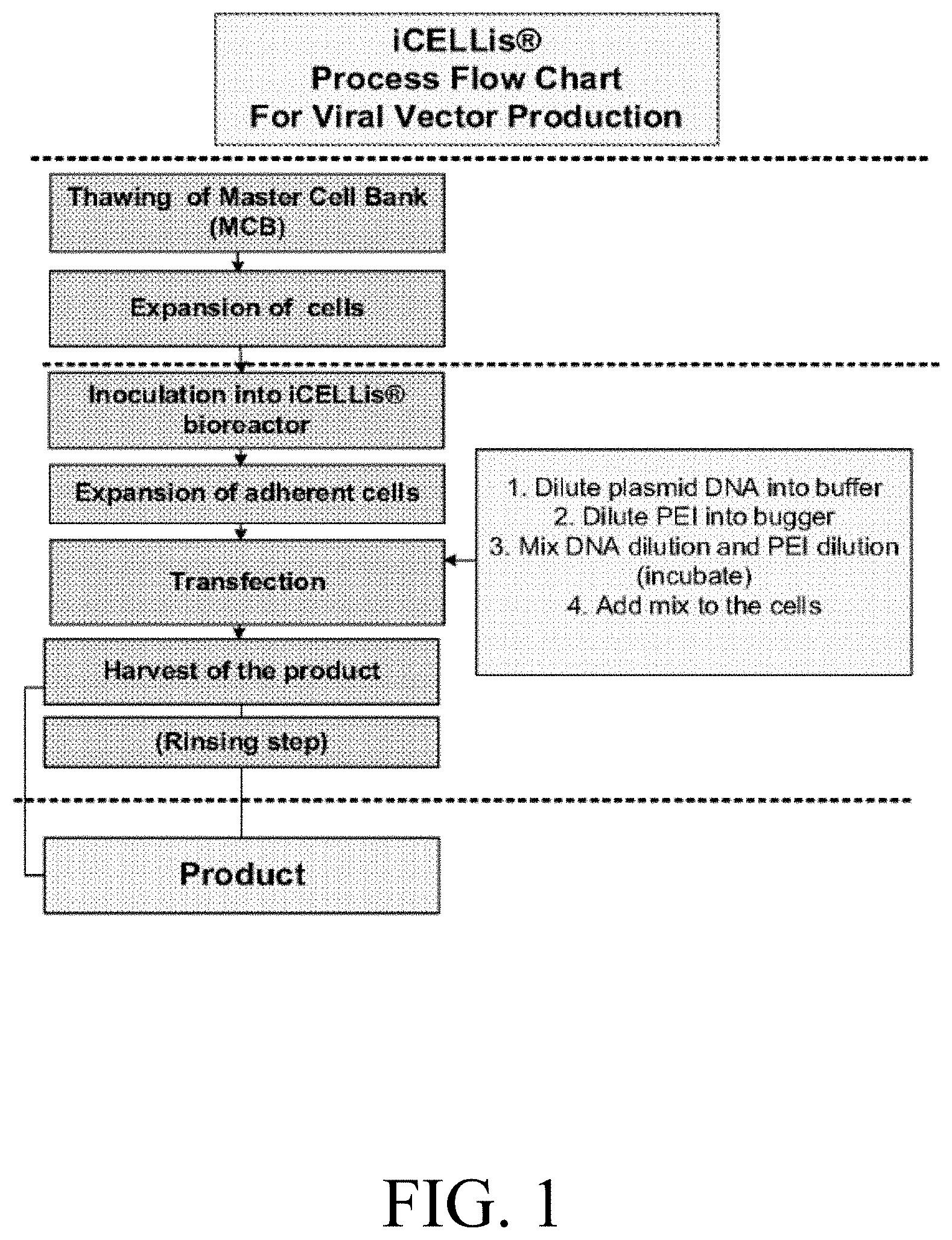 Patent US11781102 Figure 1 – Large-scale PEI-mediated plasmid transfection