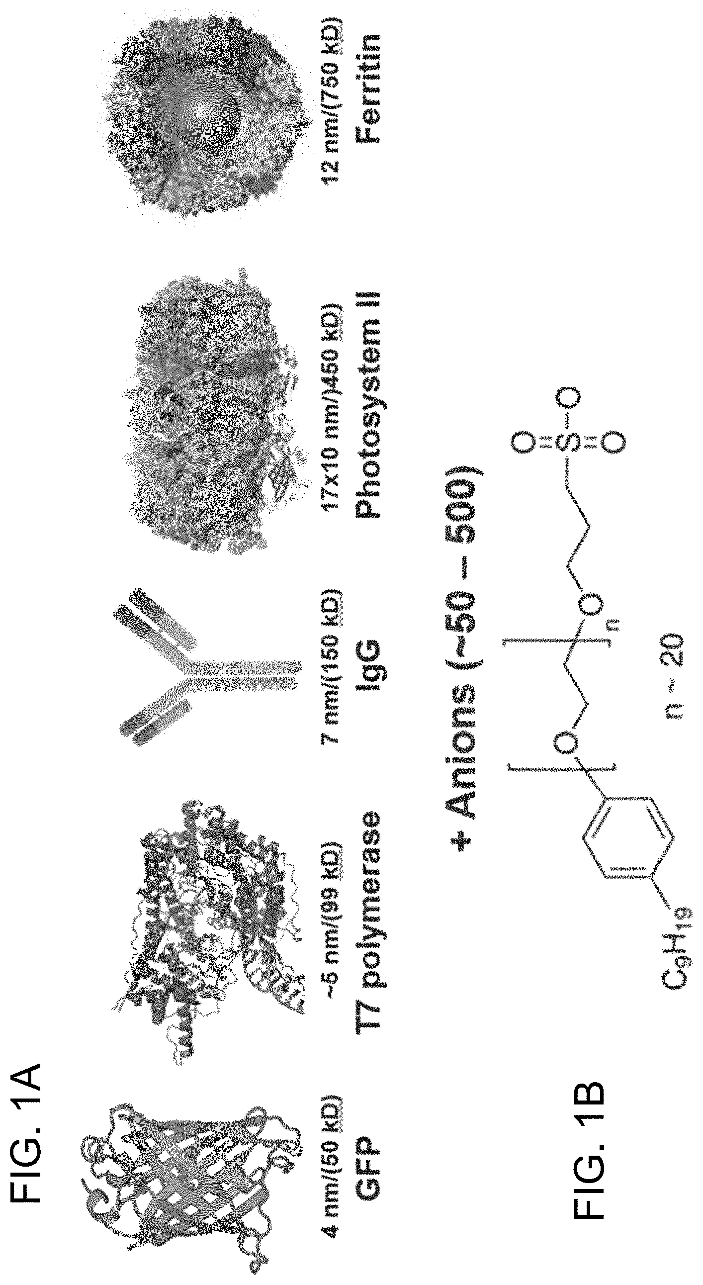 Patent US11781106 — Intracellular non-genetic modification of microorganisms using protein ionic liquids — Figure 1