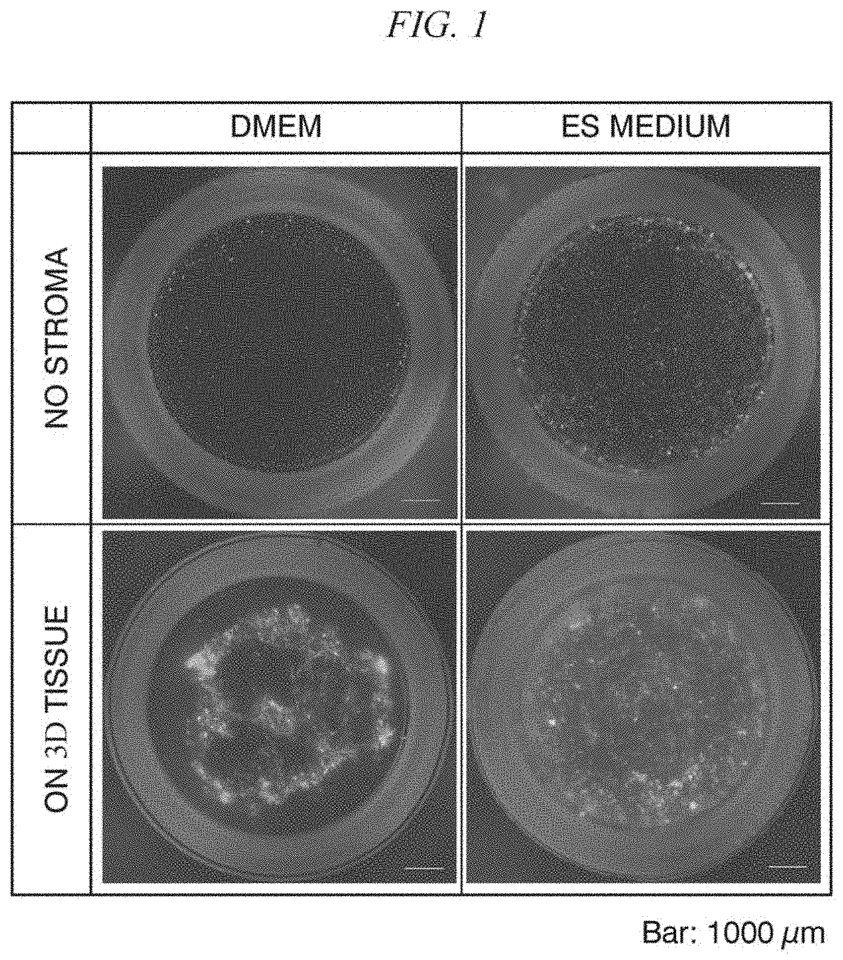 Patent US11781115 — Primary culture method — Figure 1