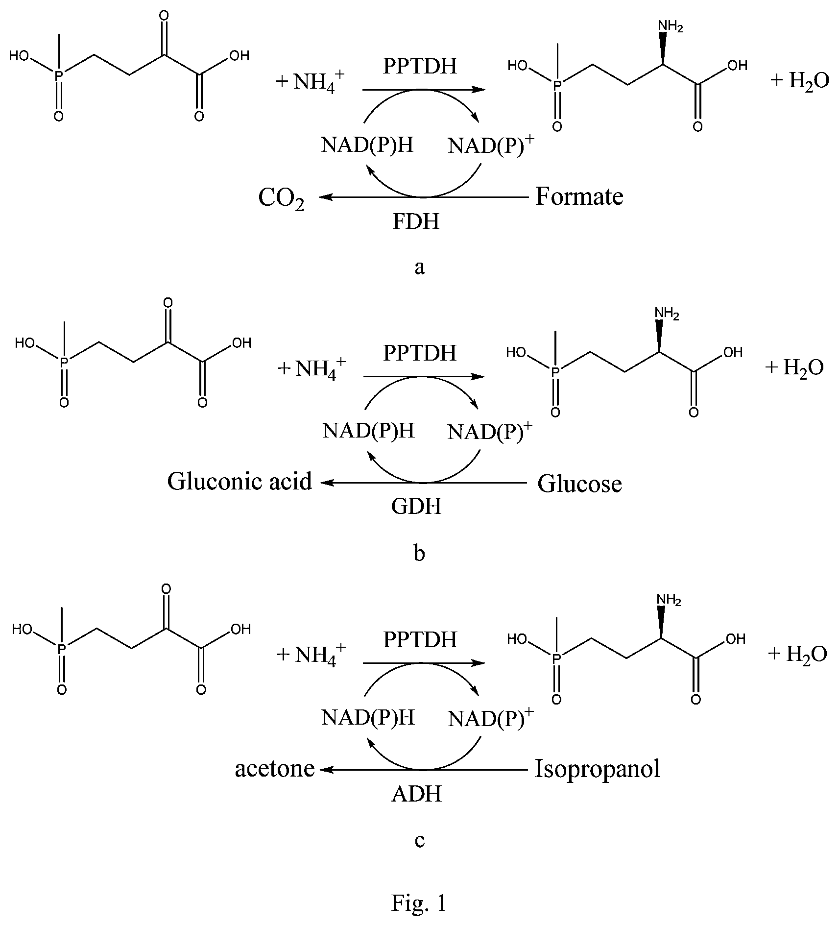 Patent US11781117 — Machine learning gene mining method and phosphinothricin dehydrogenase mutant for amino translocation — Figure 1