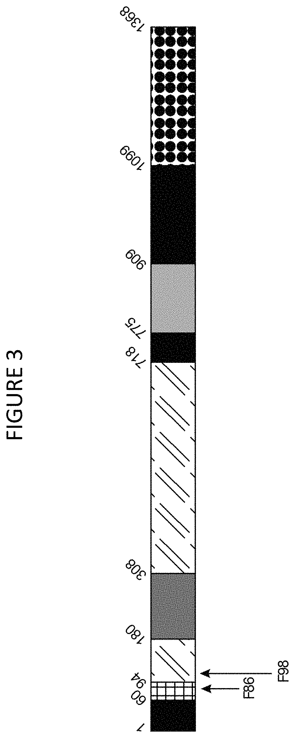 Patent US11781125 Figure 3 – Cas9 variants and methods of use