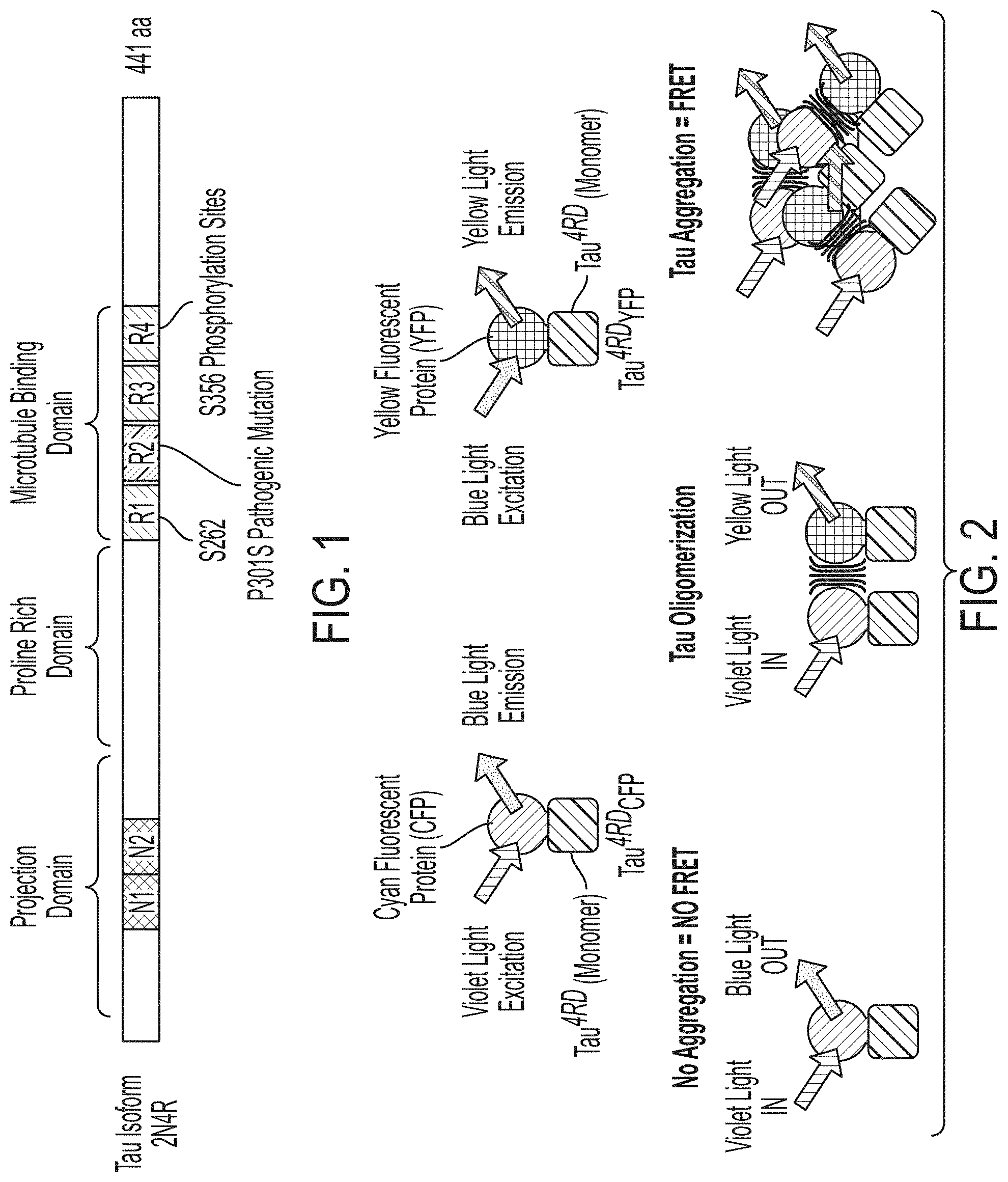 Patent US11781131 — CRISPR/Cas dropout screening platform to reveal genetic vulnerabilities associated with tau aggregation — Figure 1