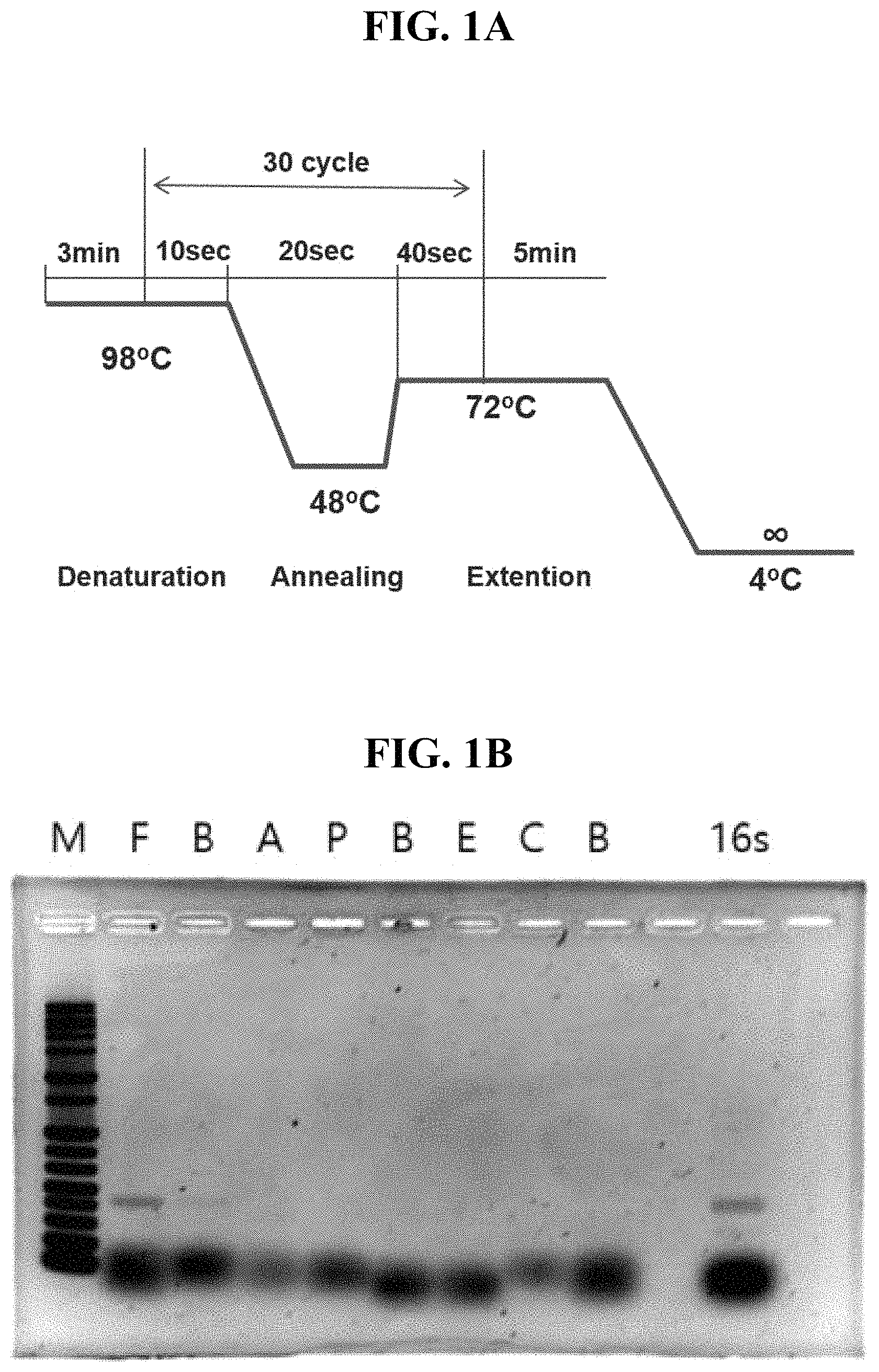 Patent US11781132 — DNA extraction method using microwave for next generation sequencing and use thereof — Figure 1