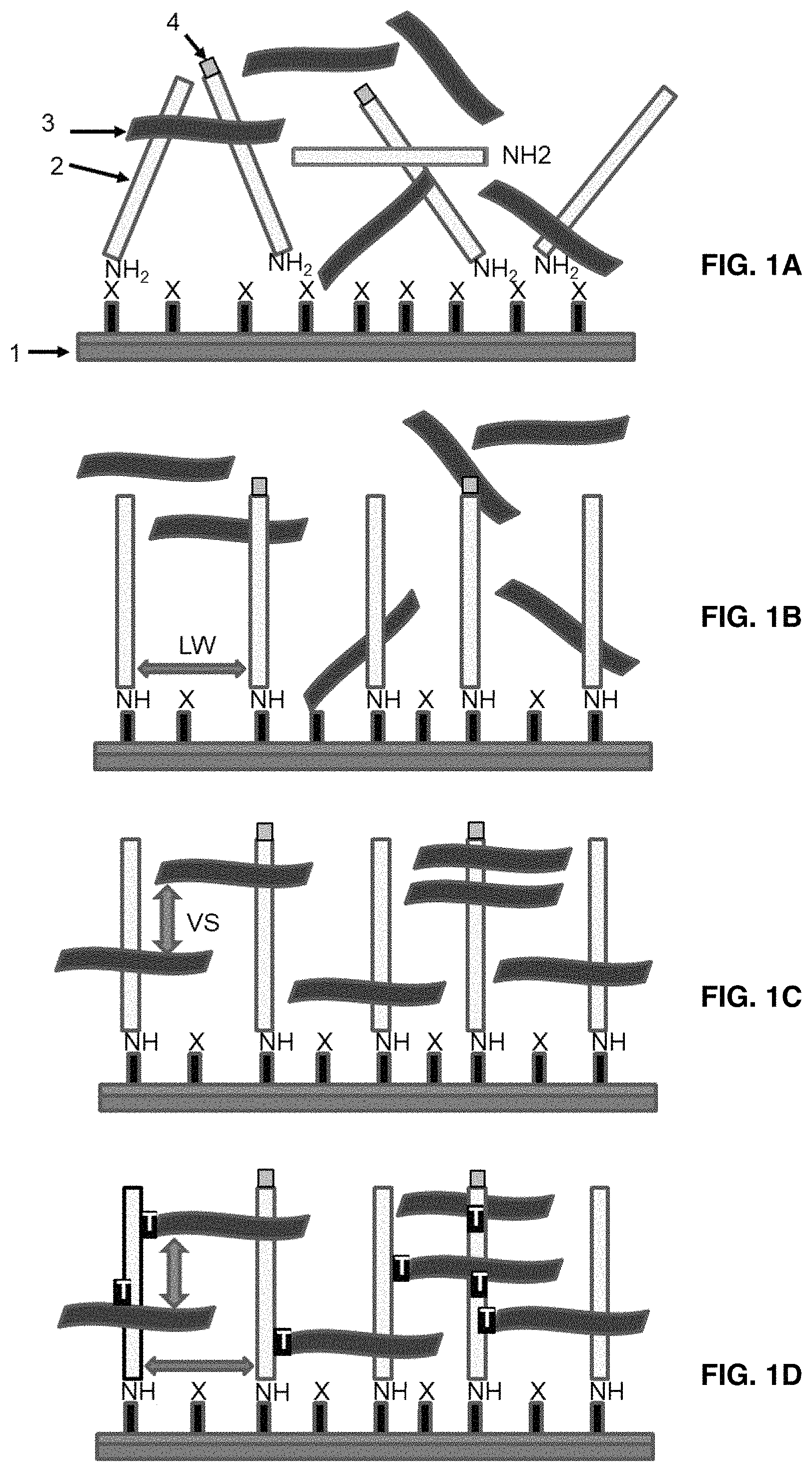 Patent US11781133 — Microarray based multiplex pathogen analysis and uses thereof — Figure 1