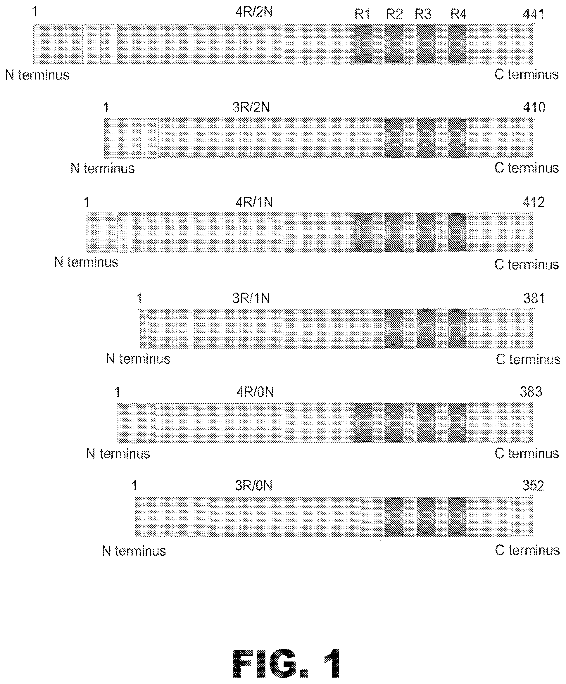 Patent US11781135 — Methods for treating Alzheimer's disease — Figure 1