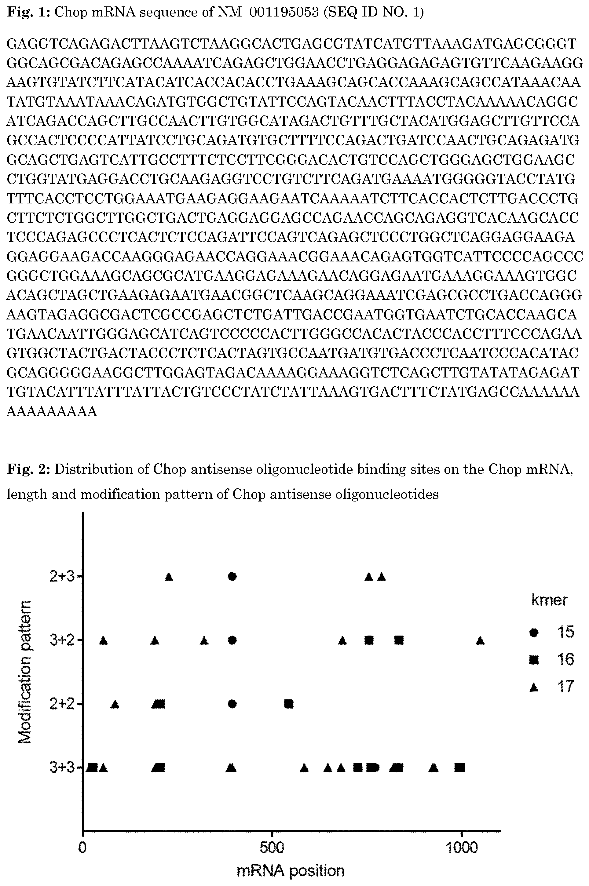 Patent US11781136 — Oligonucleotide inhibiting the expression of Chop — Figure 1