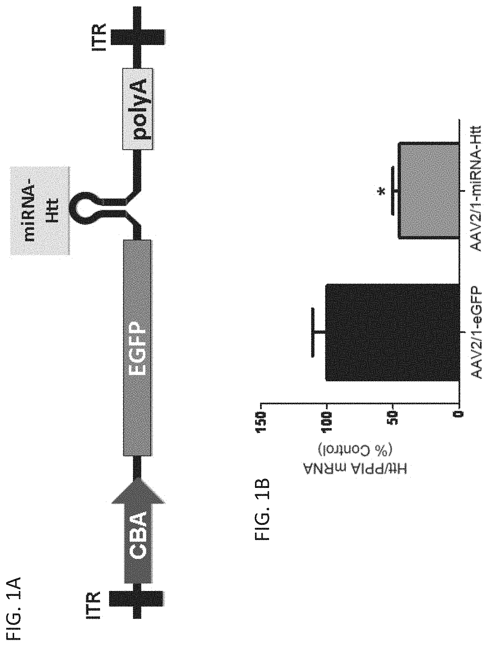 Patent US11781137 — Variant RNAi — Figure 1