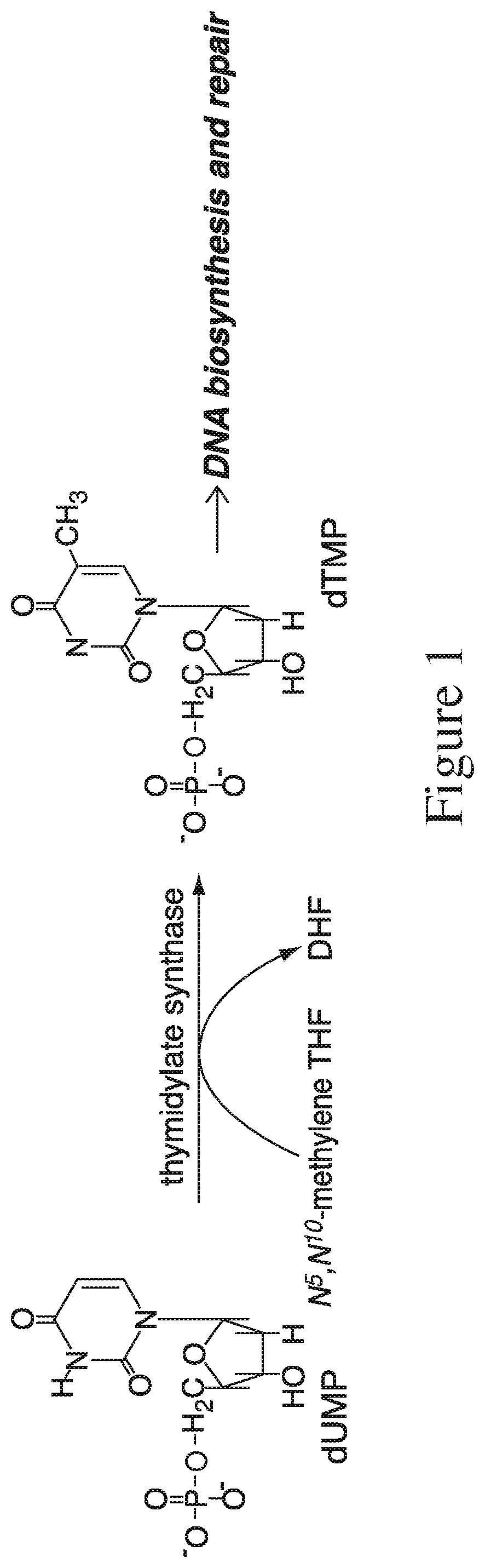 Patent US11781142 — — Figure 1