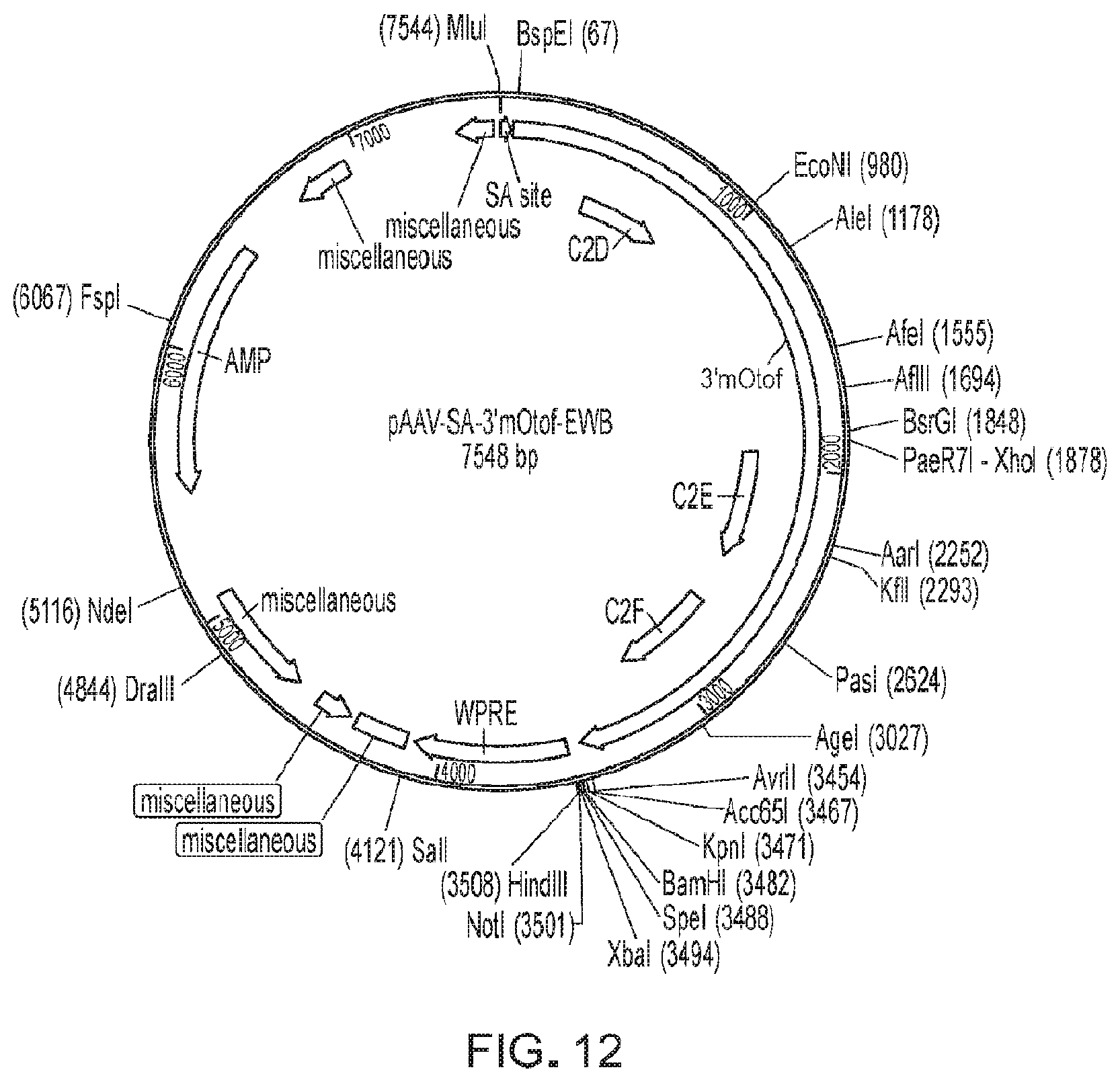 Patent US11781145 Figure 9 – Compositions and methods for treating non-age-associated hearing impairment in a human subject