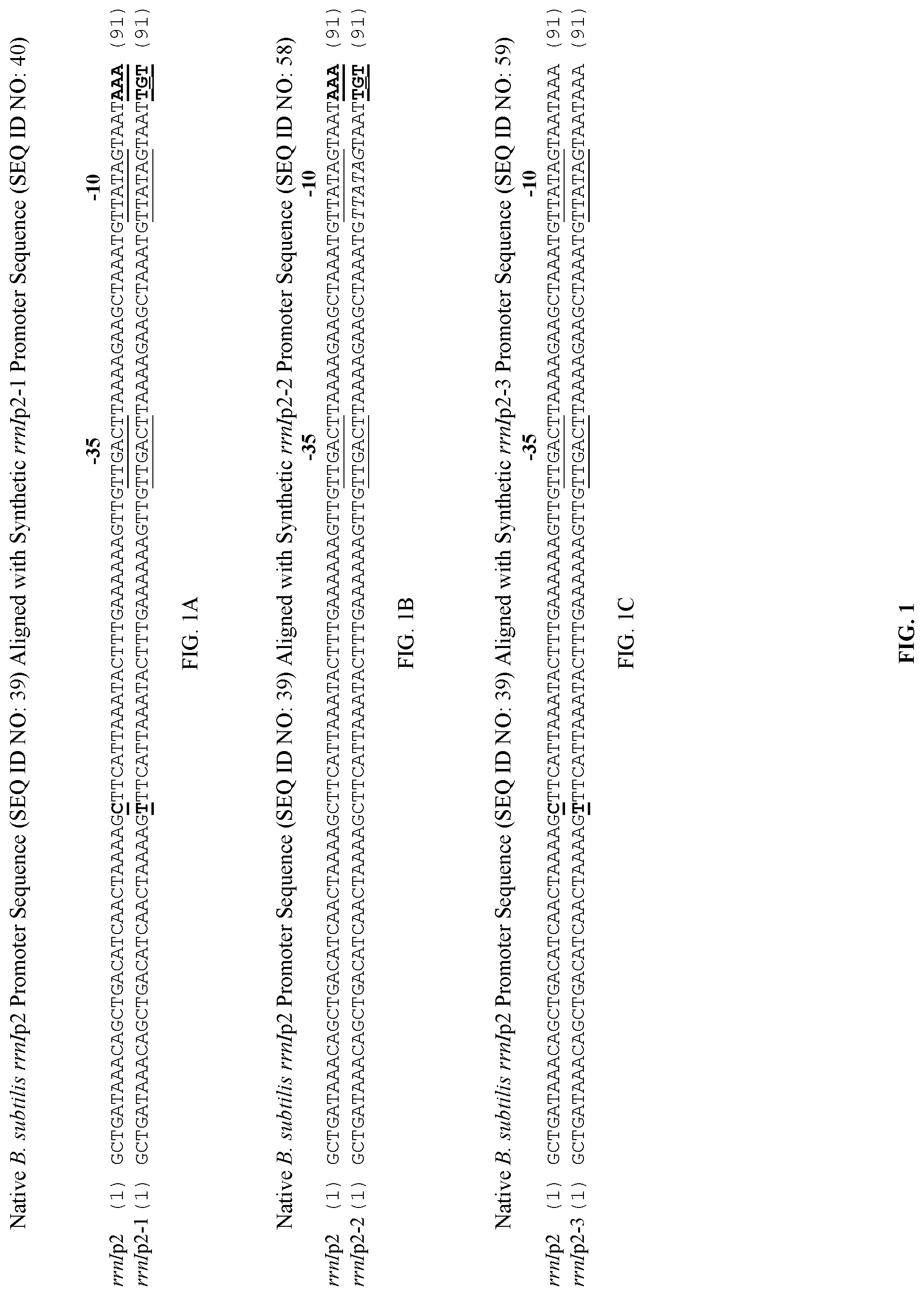 Patent US11781147 — Promoter sequences and methods thereof for enhanced protein production in Bacillus cells — Figure 1