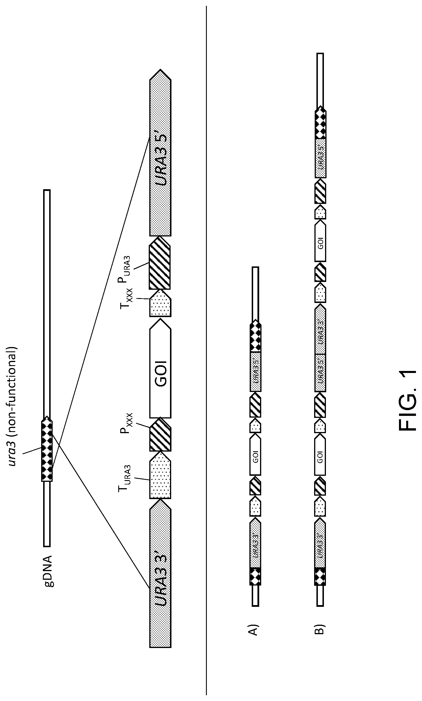 Patent US11781148 — Biological methods for preparing terpenes — Figure 1