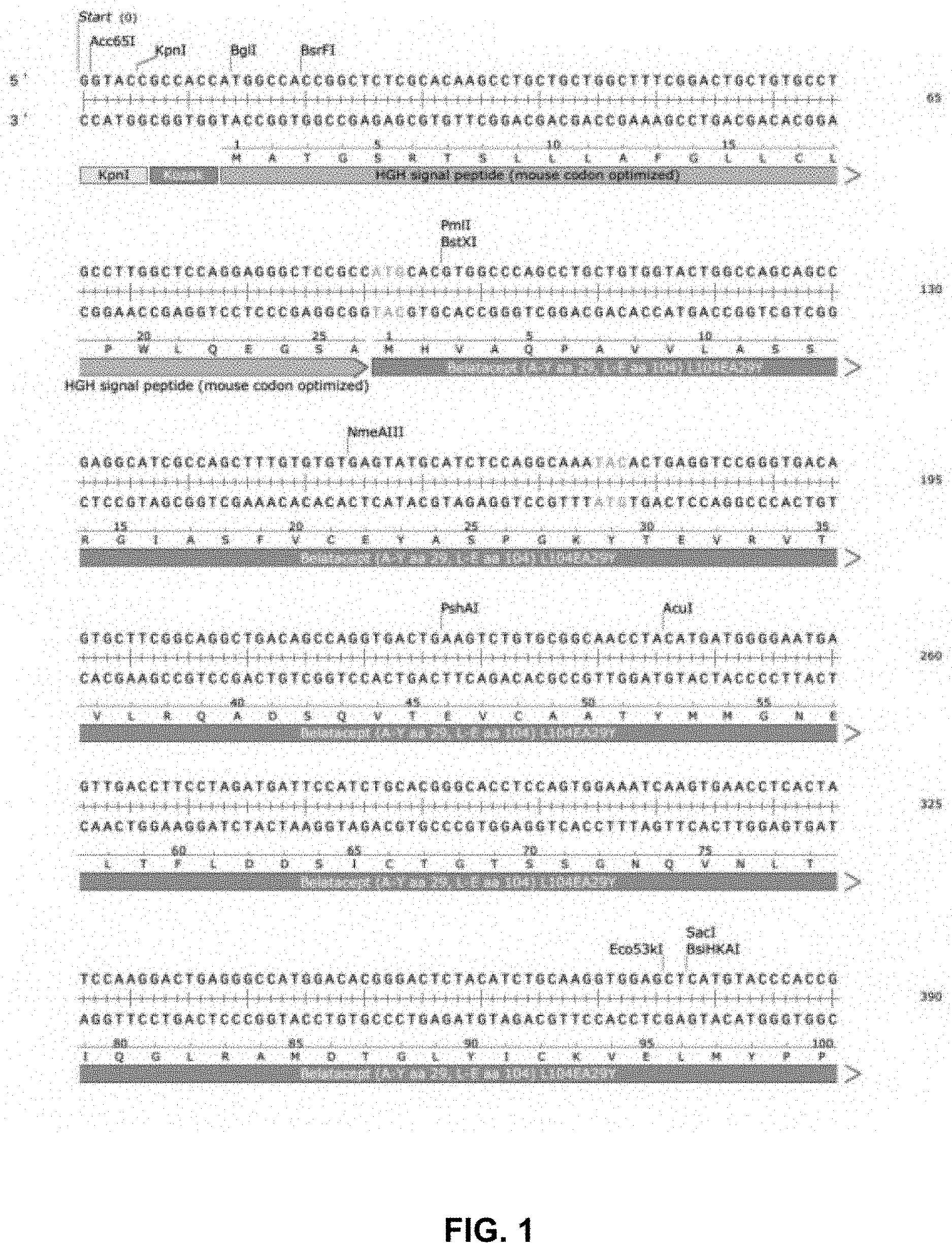 Patent US11781154 — Compositions and methods for regulating production of a fusion protein and ribonucleic acid — Figure 1