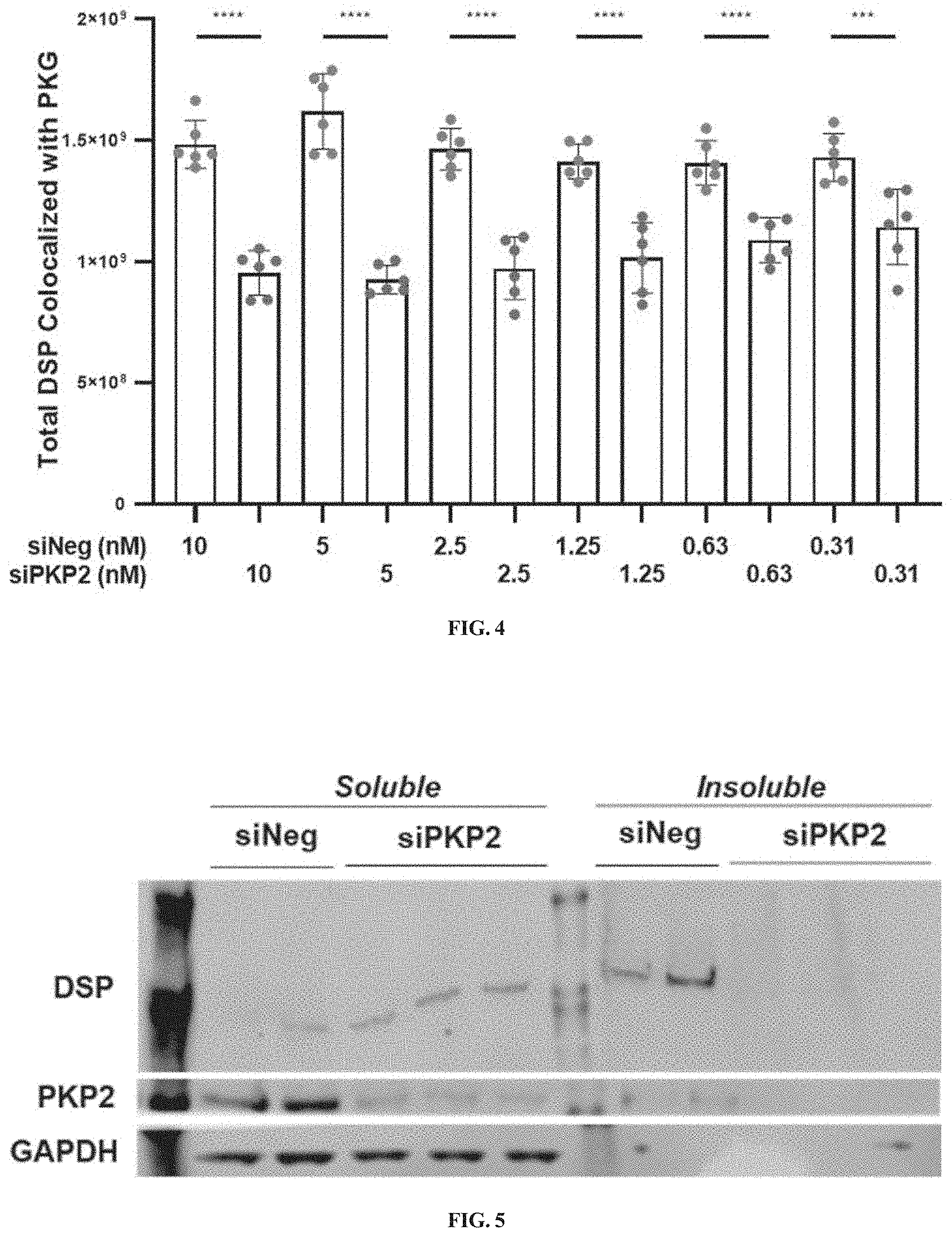 Patent US11781156 Figure 5 – Plakophillin-2 gene therapy methods and compositions