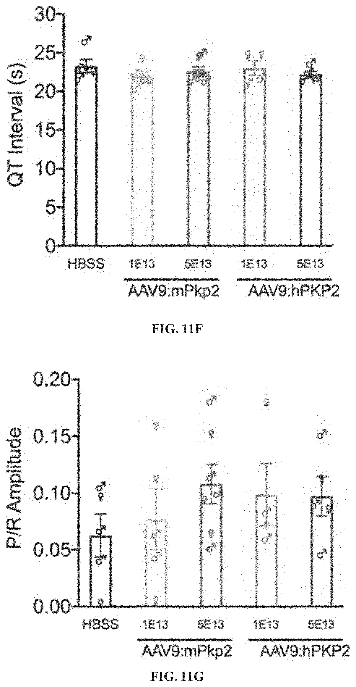 Patent US11781156 Figure 14 – Plakophillin-2 gene therapy methods and compositions
