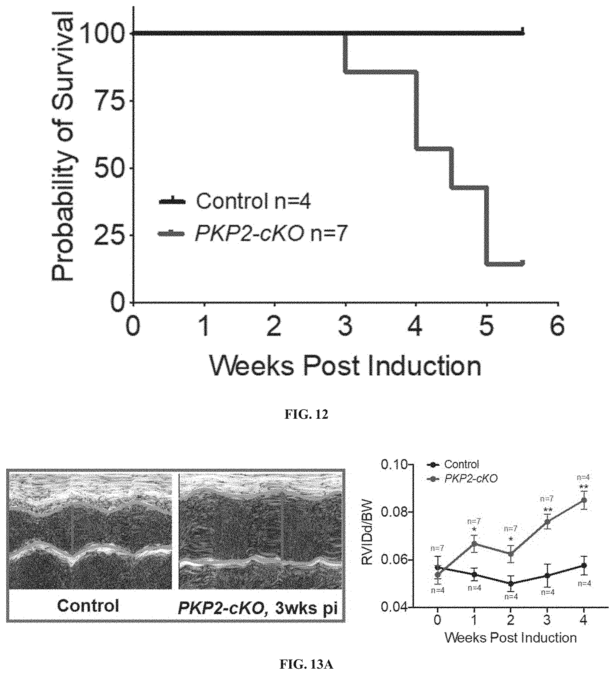 Patent US11781156 Figure 15 – Plakophillin-2 gene therapy methods and compositions
